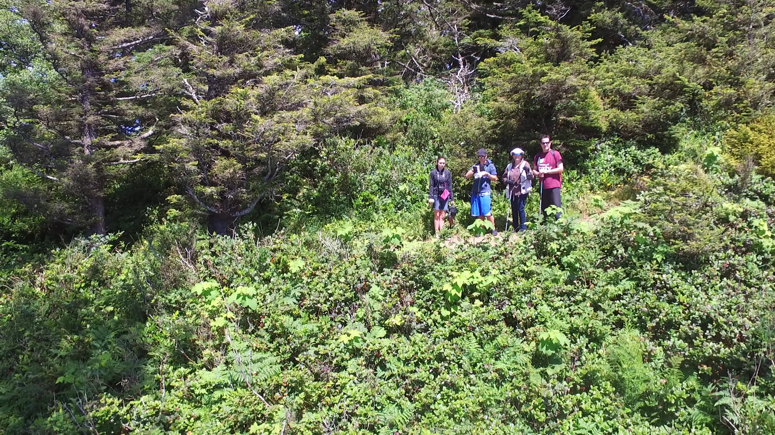 Cape Lookout State Park