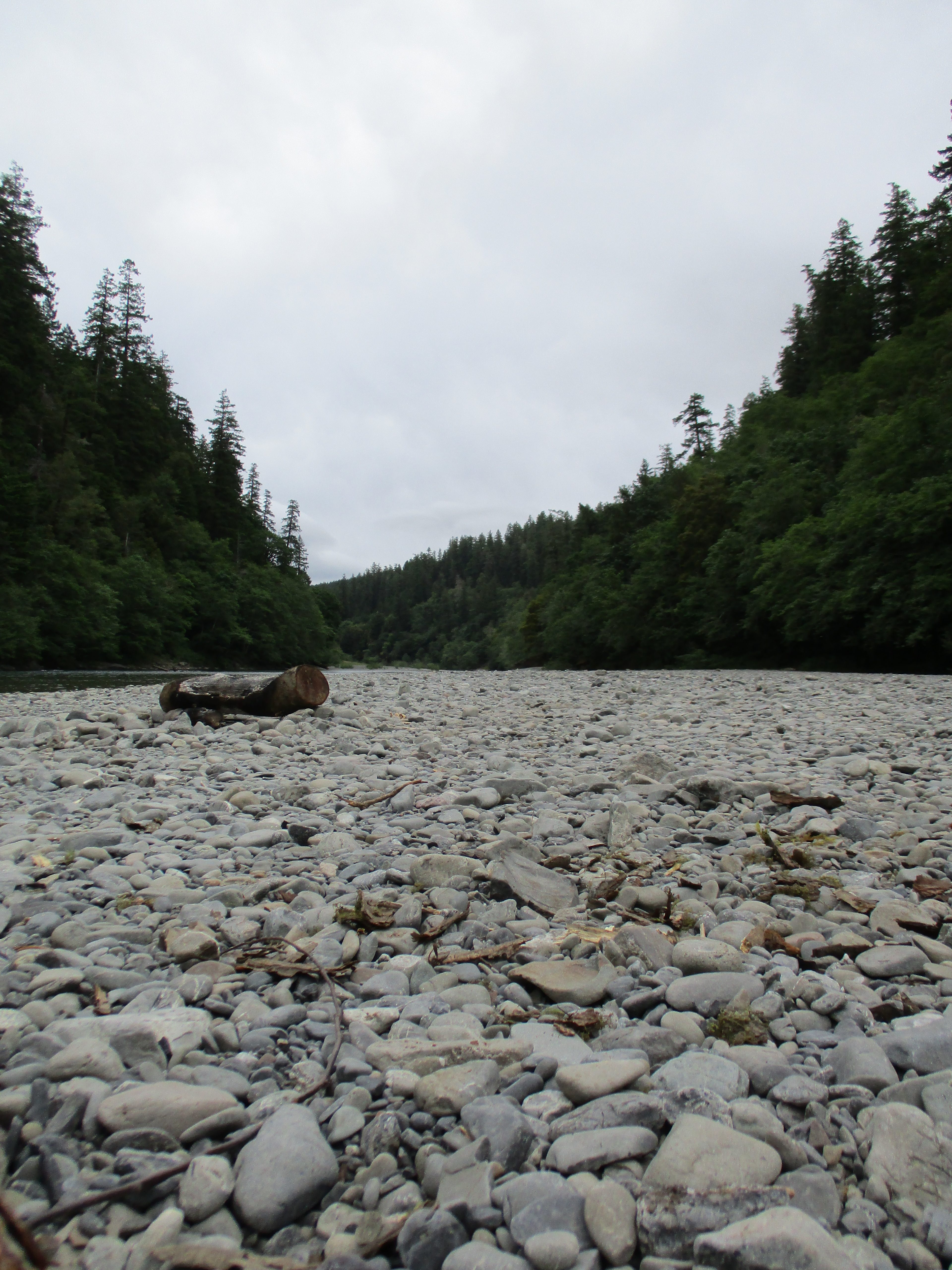 Redwood Bar Dispersed Camping