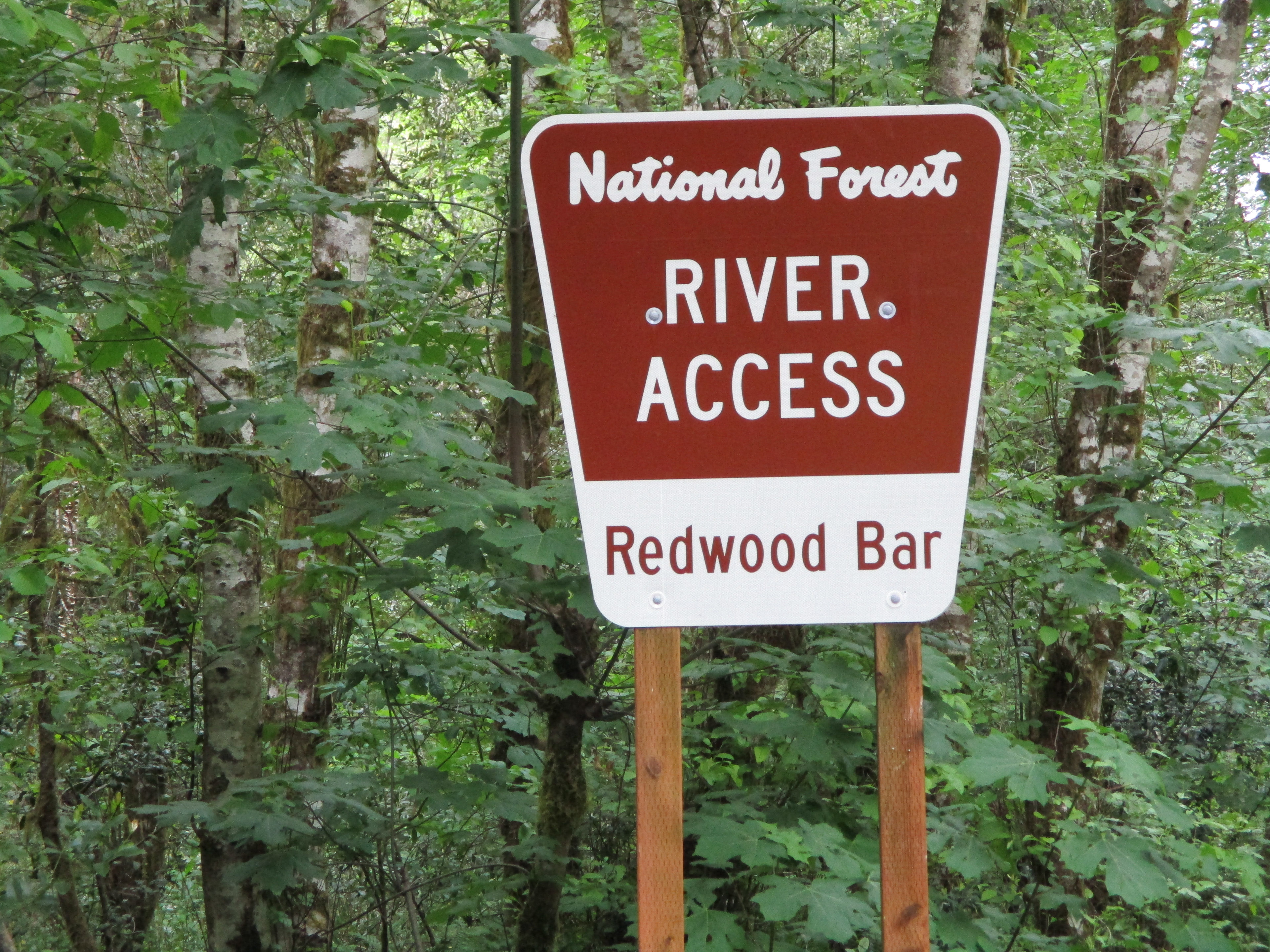 Redwood Bar Dispersed Camping