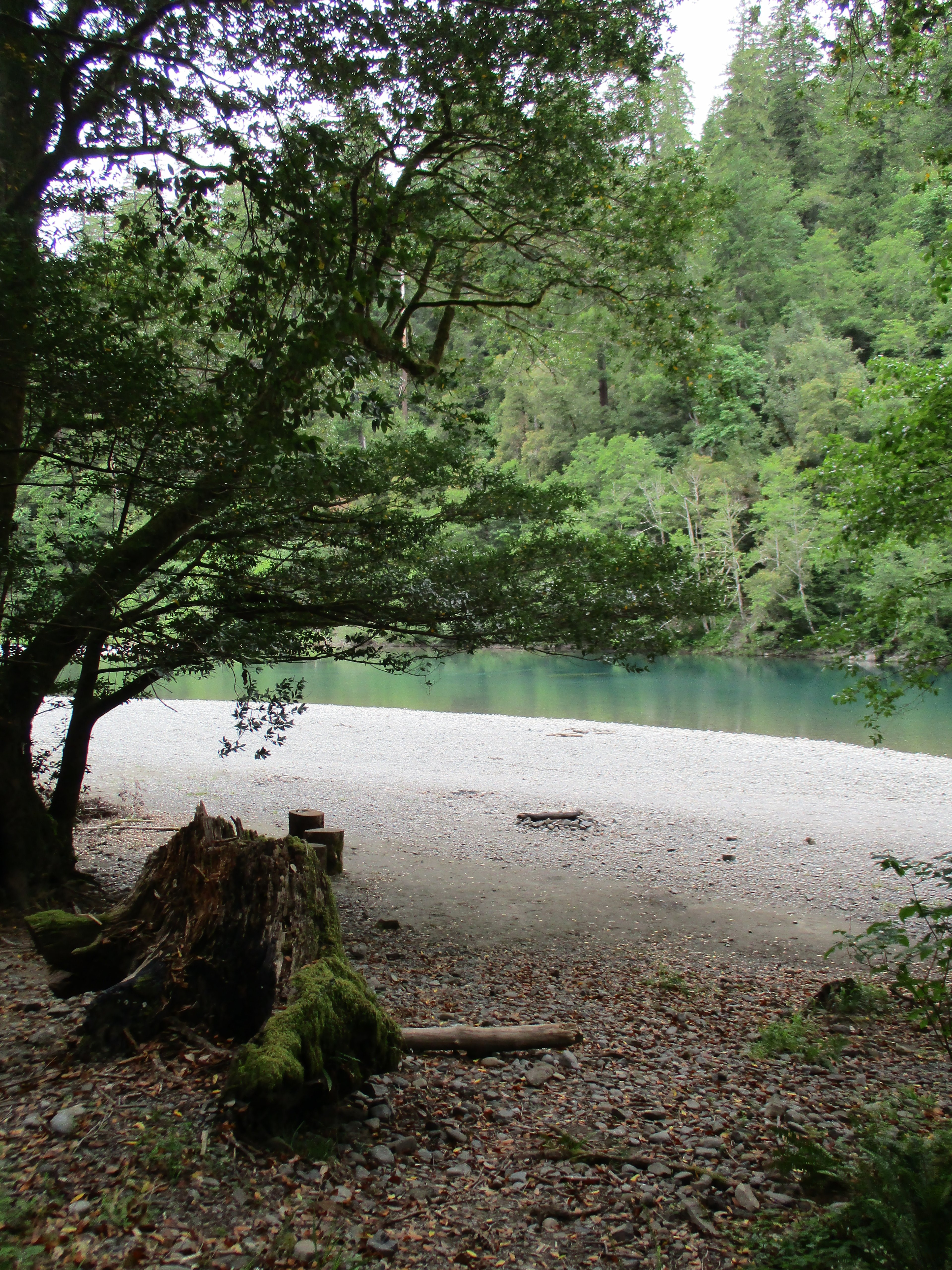 Nook Bar Campground