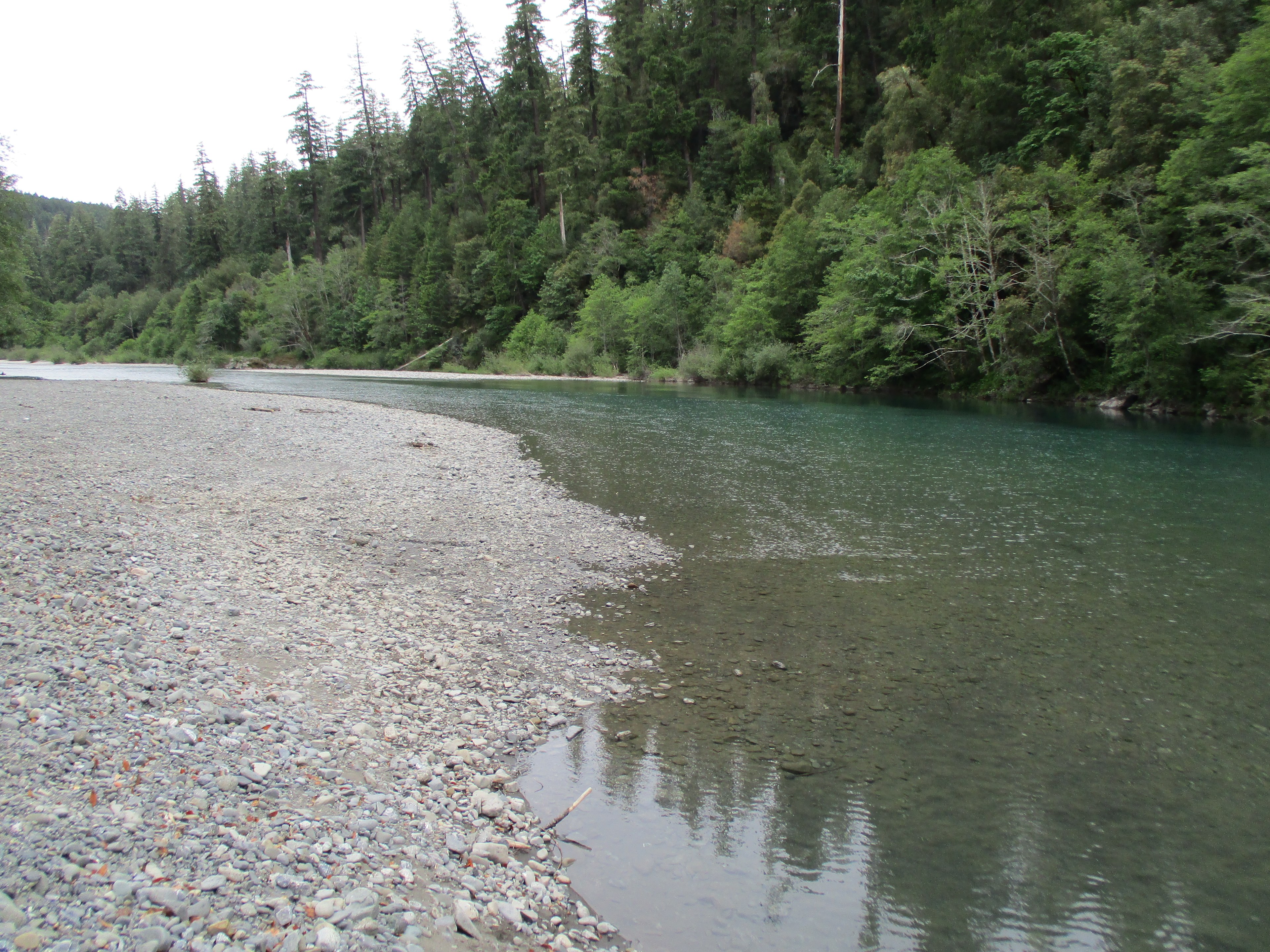 Rogue-River Siskiyou National Forest