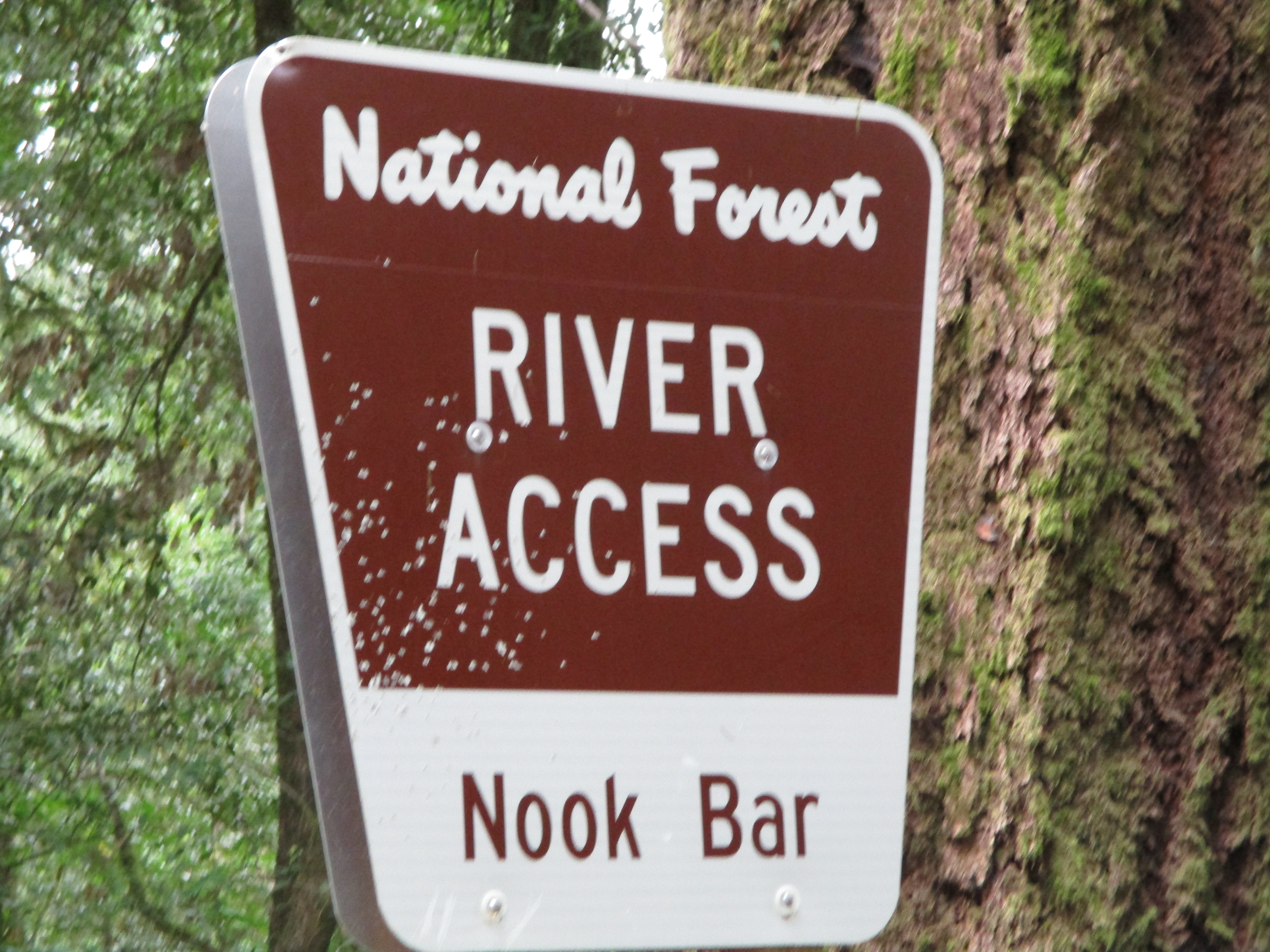 Nook Bar Campground
