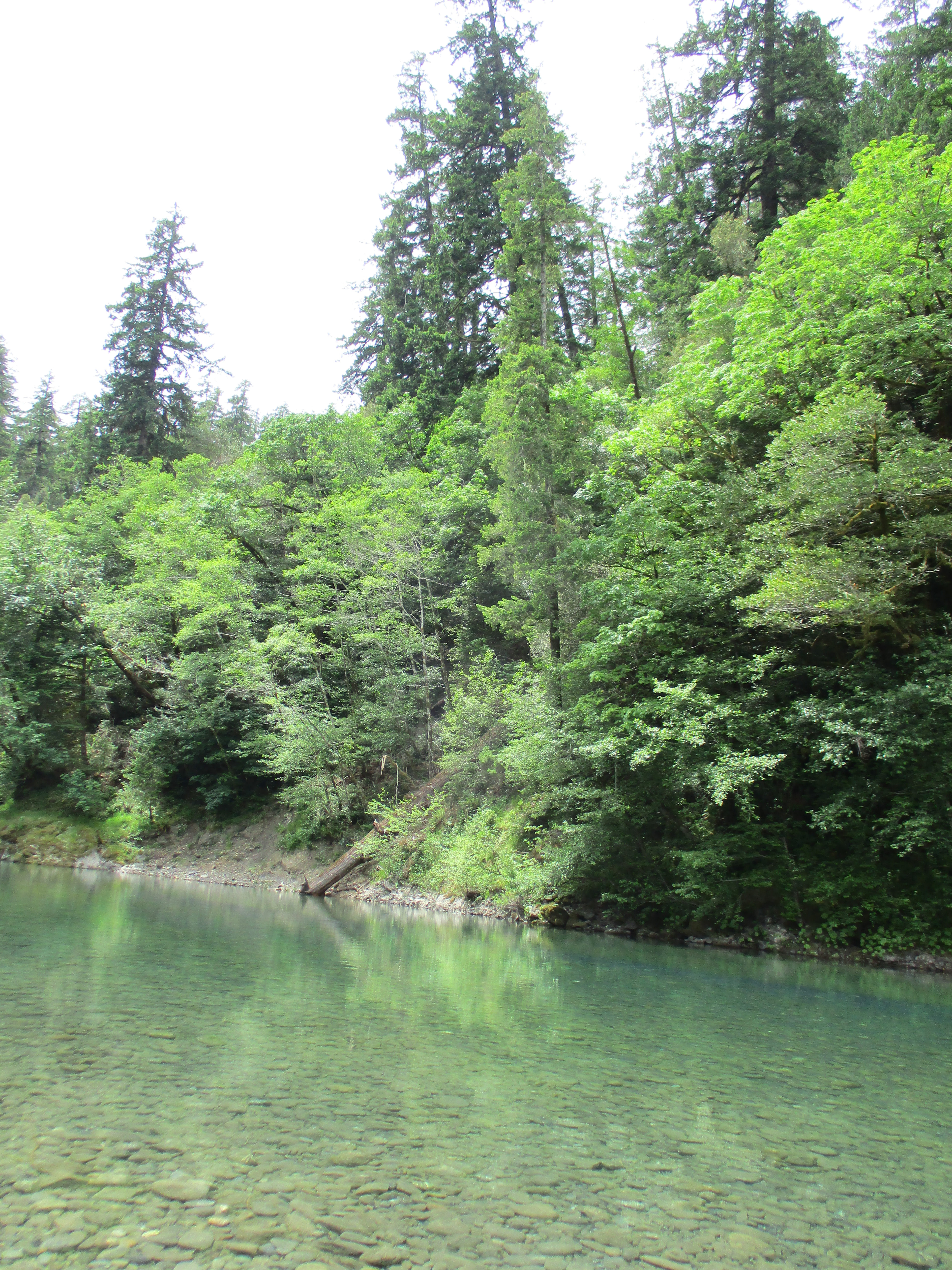 Miller Bar Campground