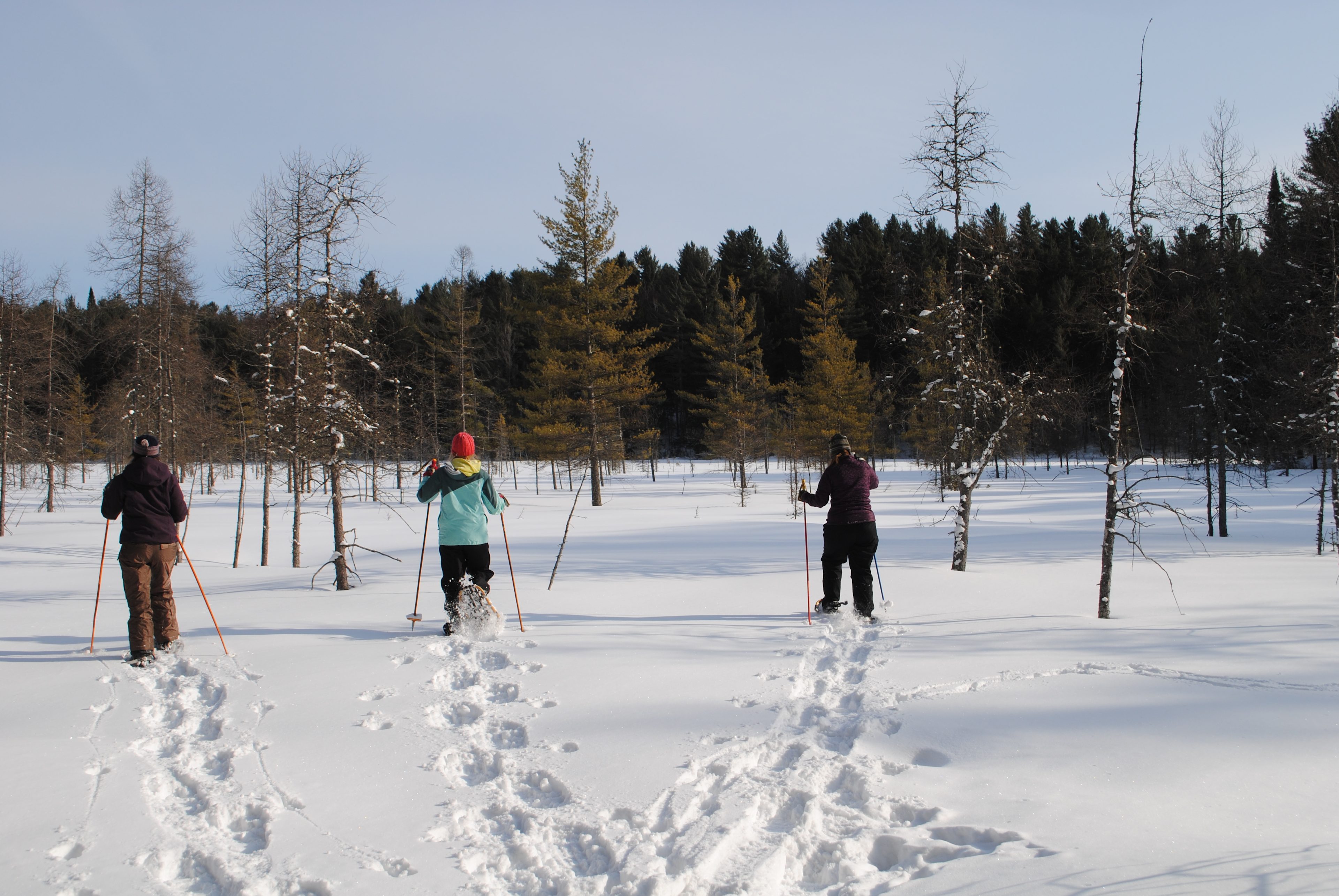 33 acres to fully explore