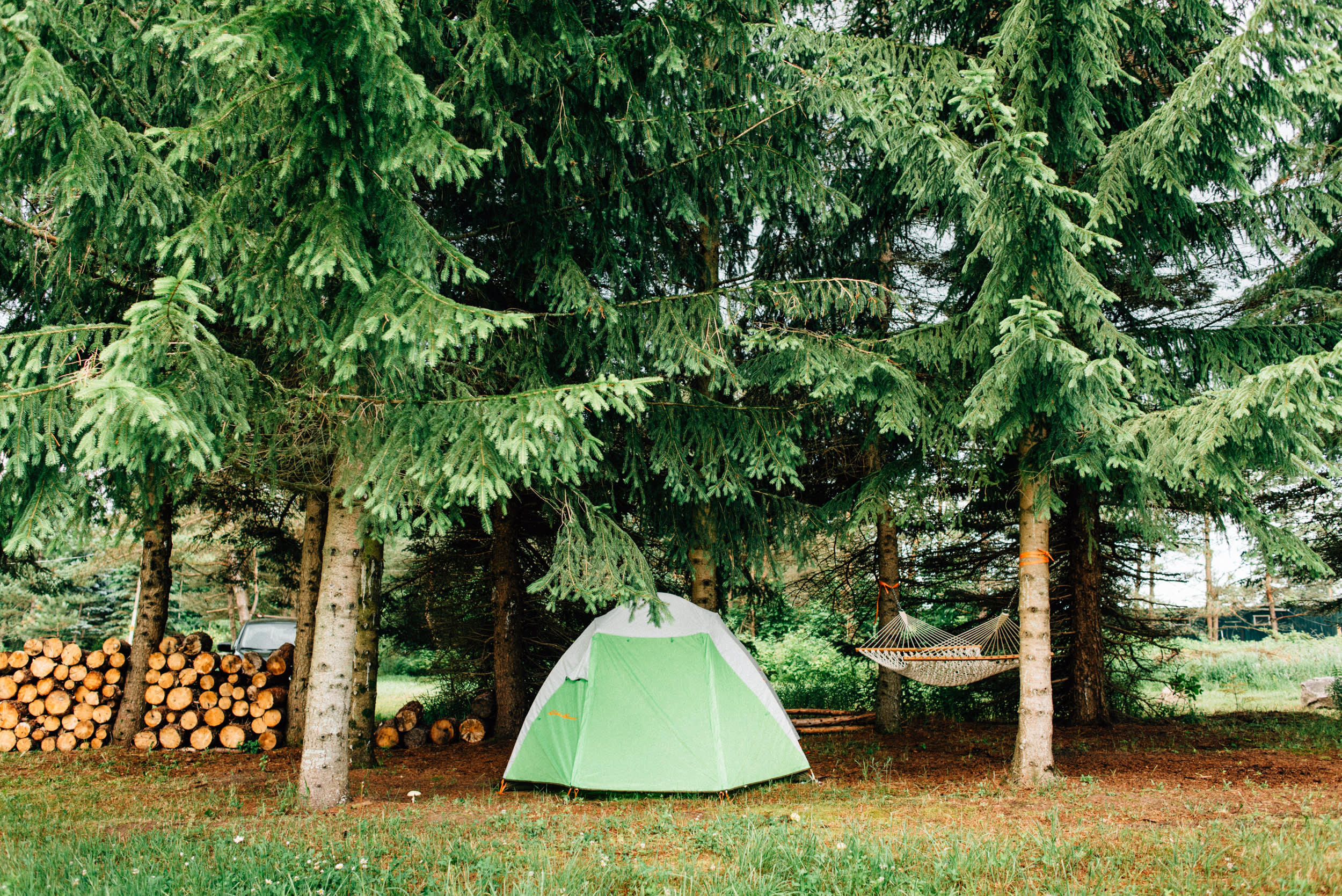 So cozy! Stayed pretty dry during the rain camping under these trees! 