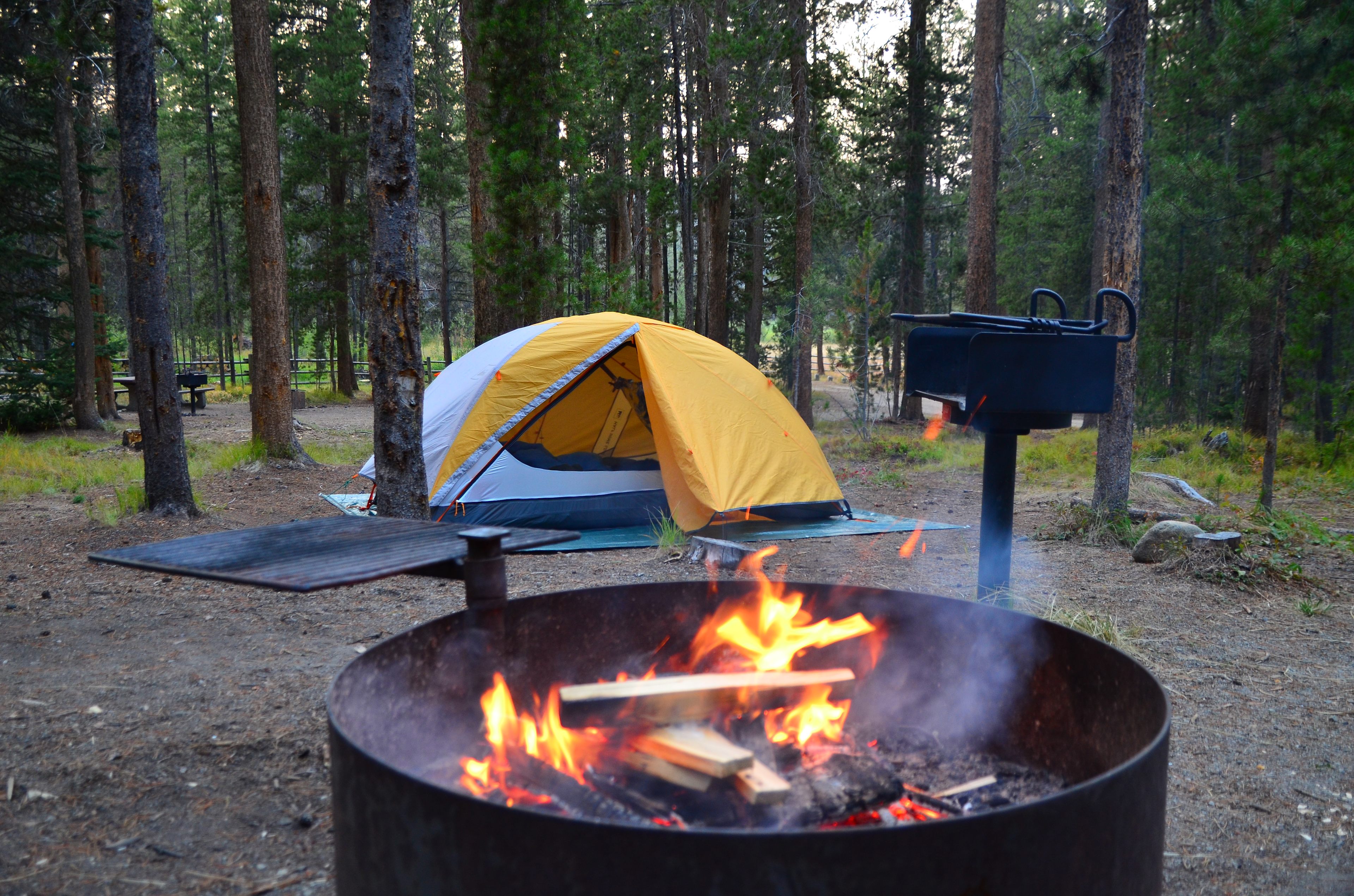Beaverhead-Deerlodge National Forest