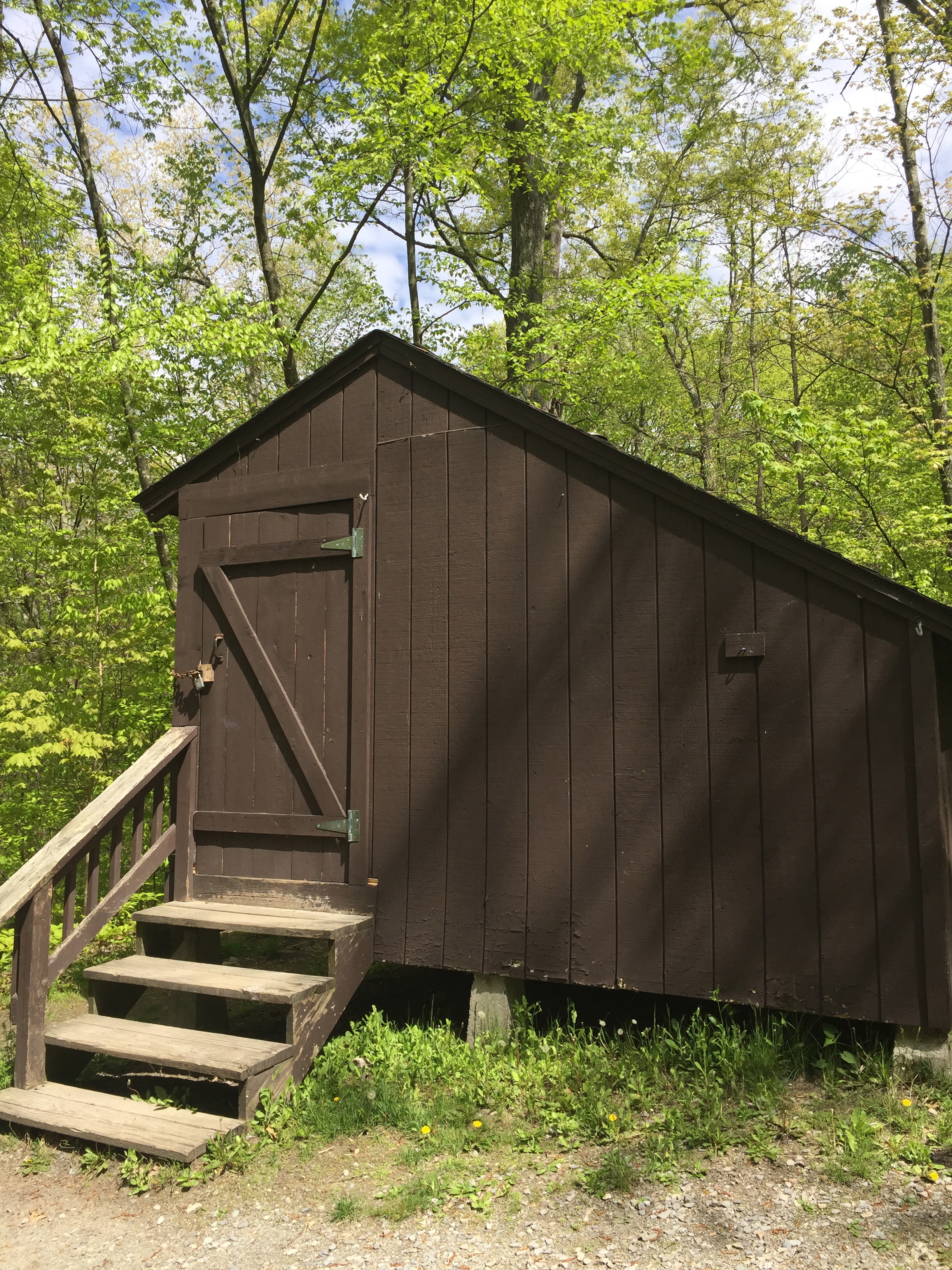 Secluded lean-to, peaceful to wake up here with windows facing the woods.