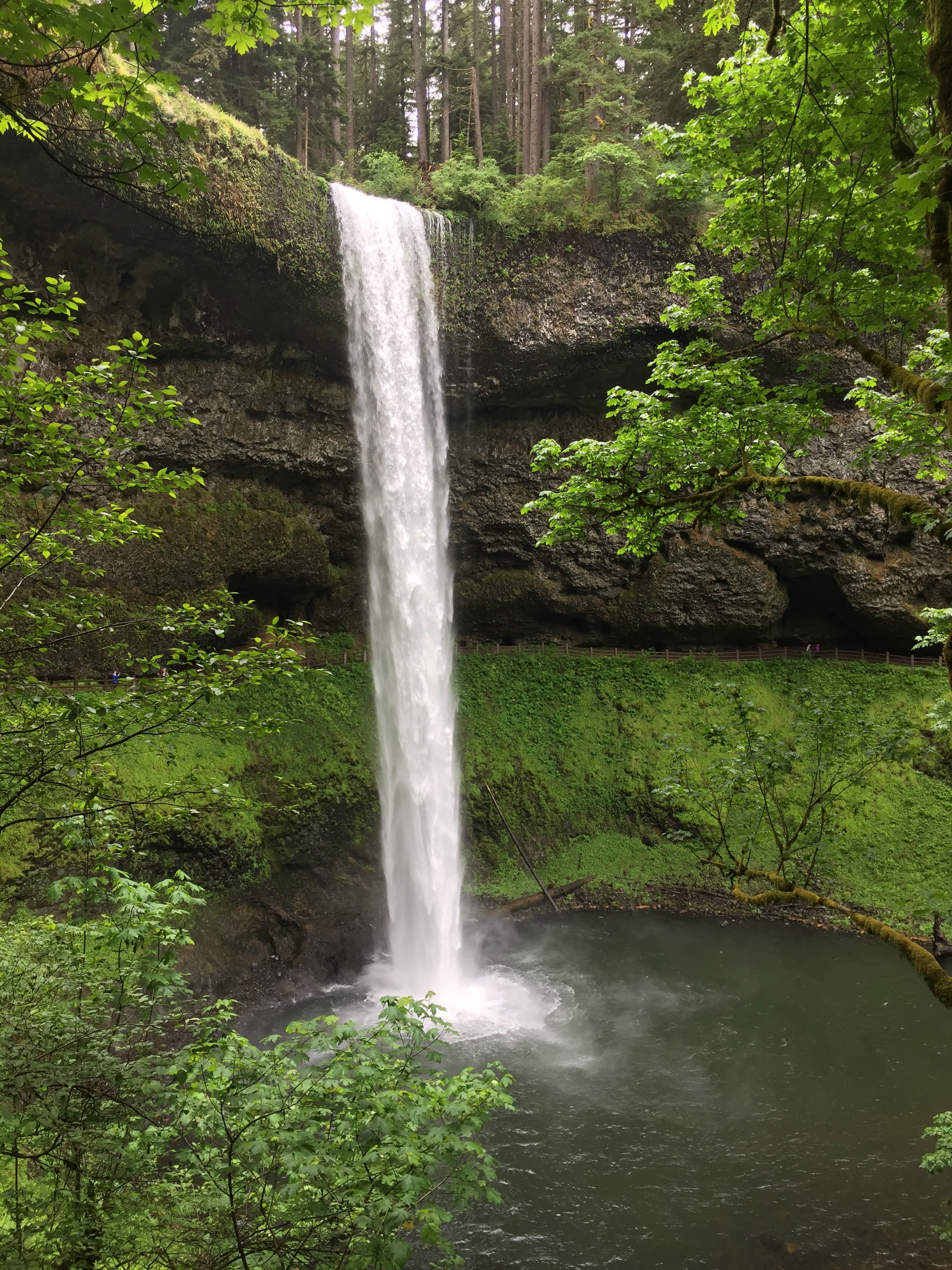 Silver Falls State Park
