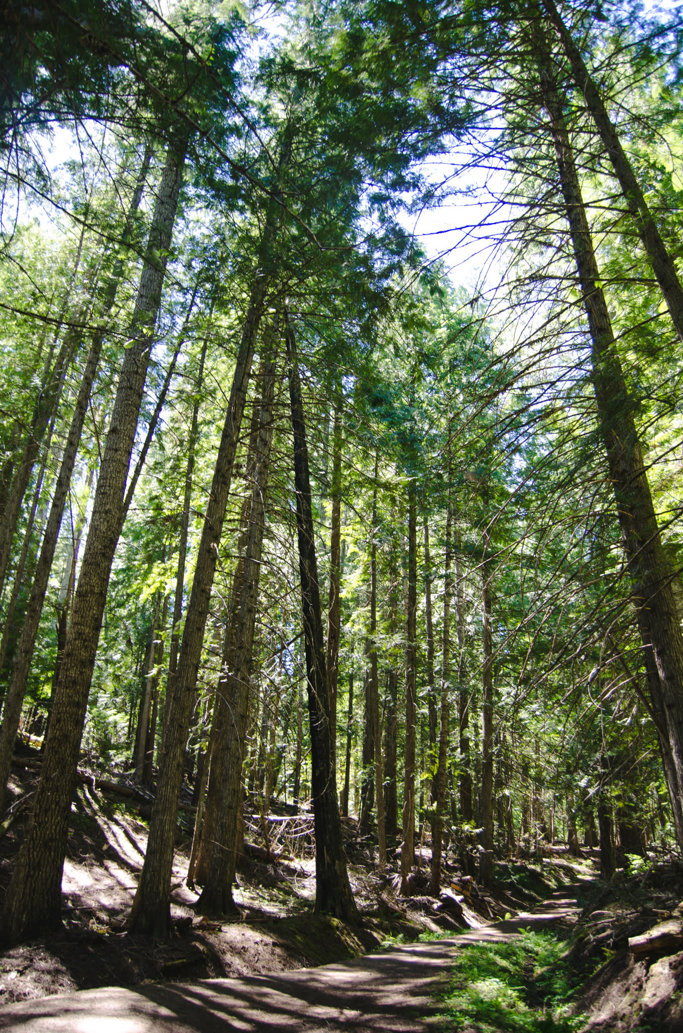 Elk Creek Campground