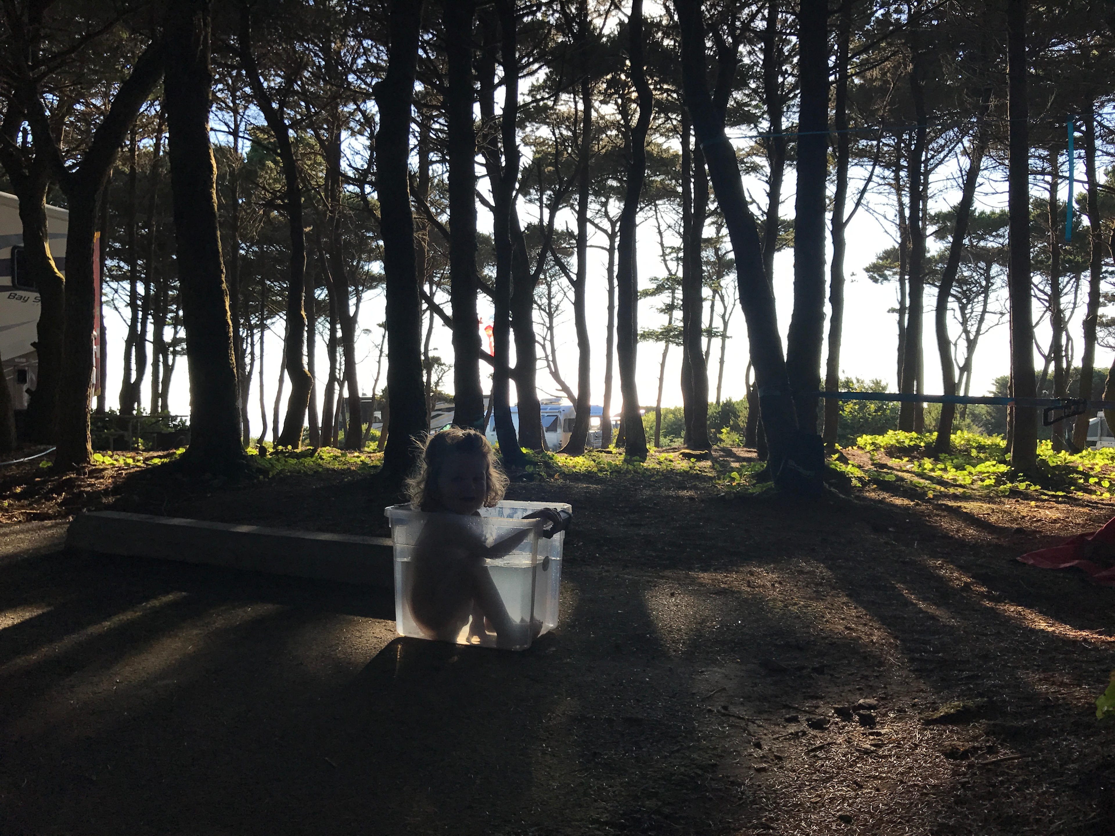Wonderful little canopy over some of the camp sites.  