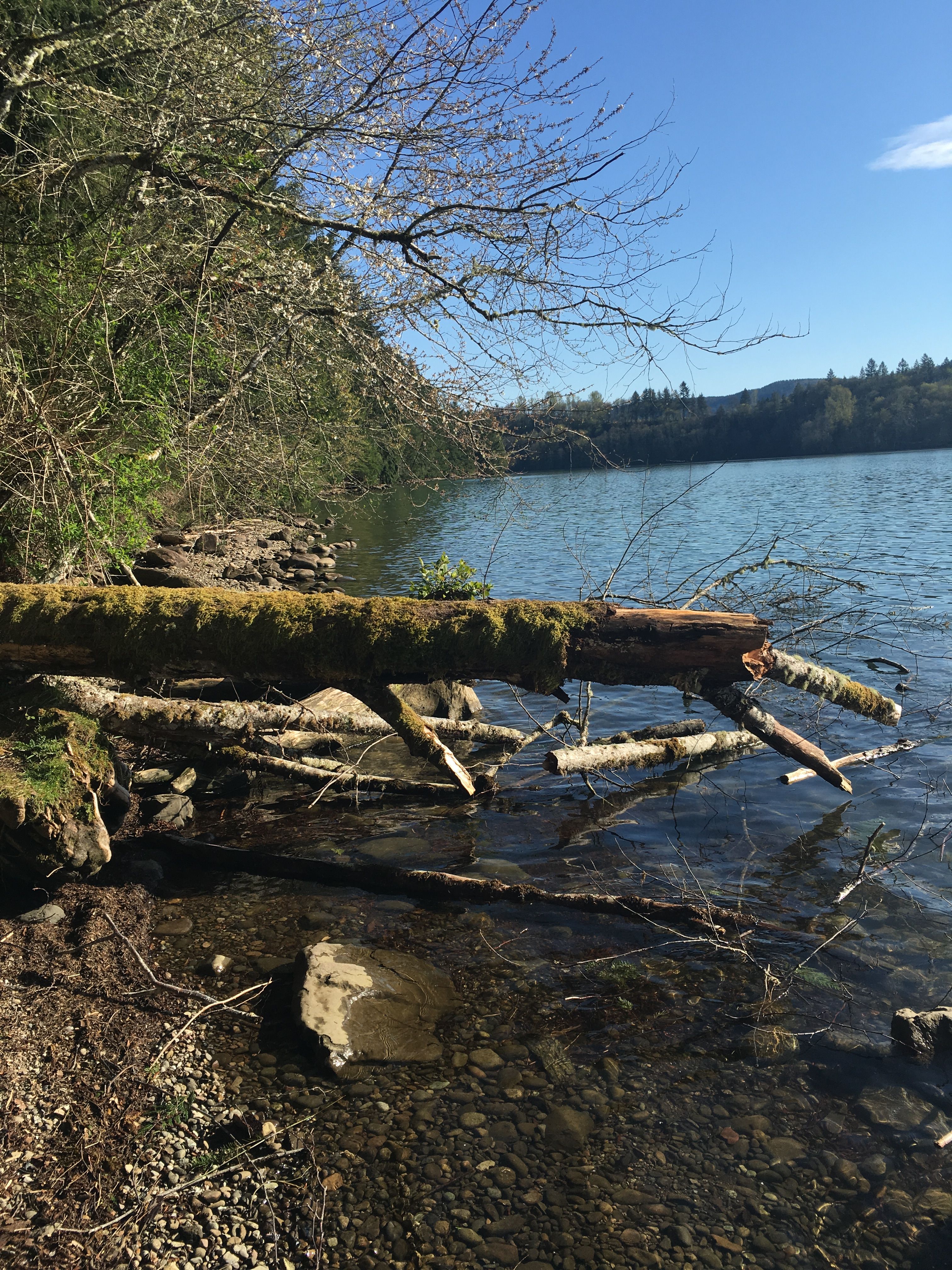 Ike Kinswa State Park