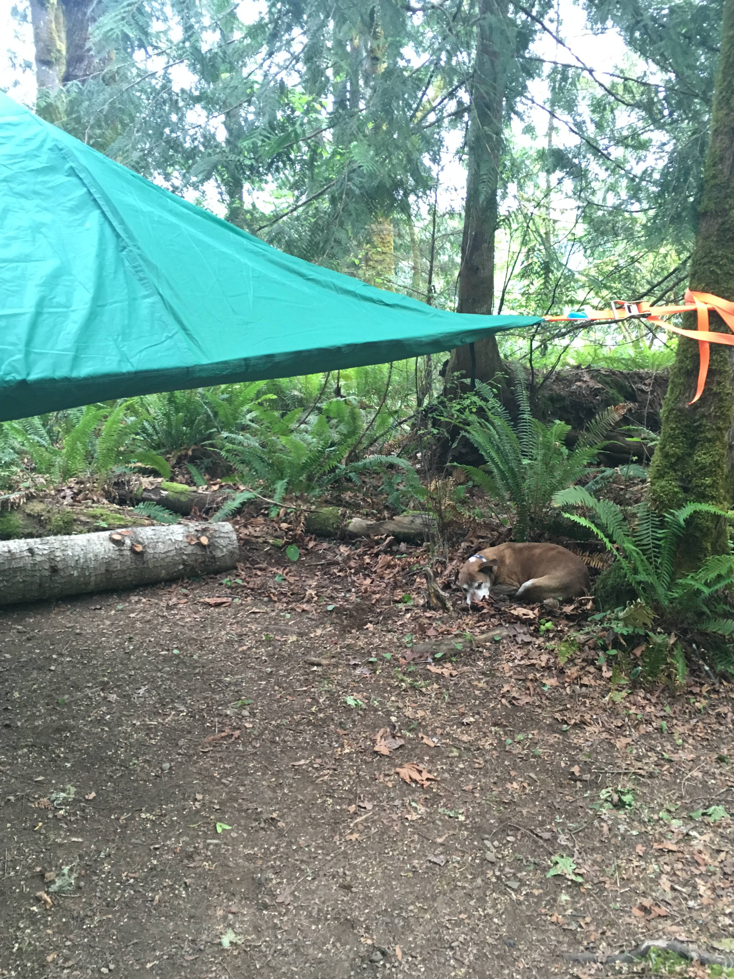 Ike Kinswa State Park