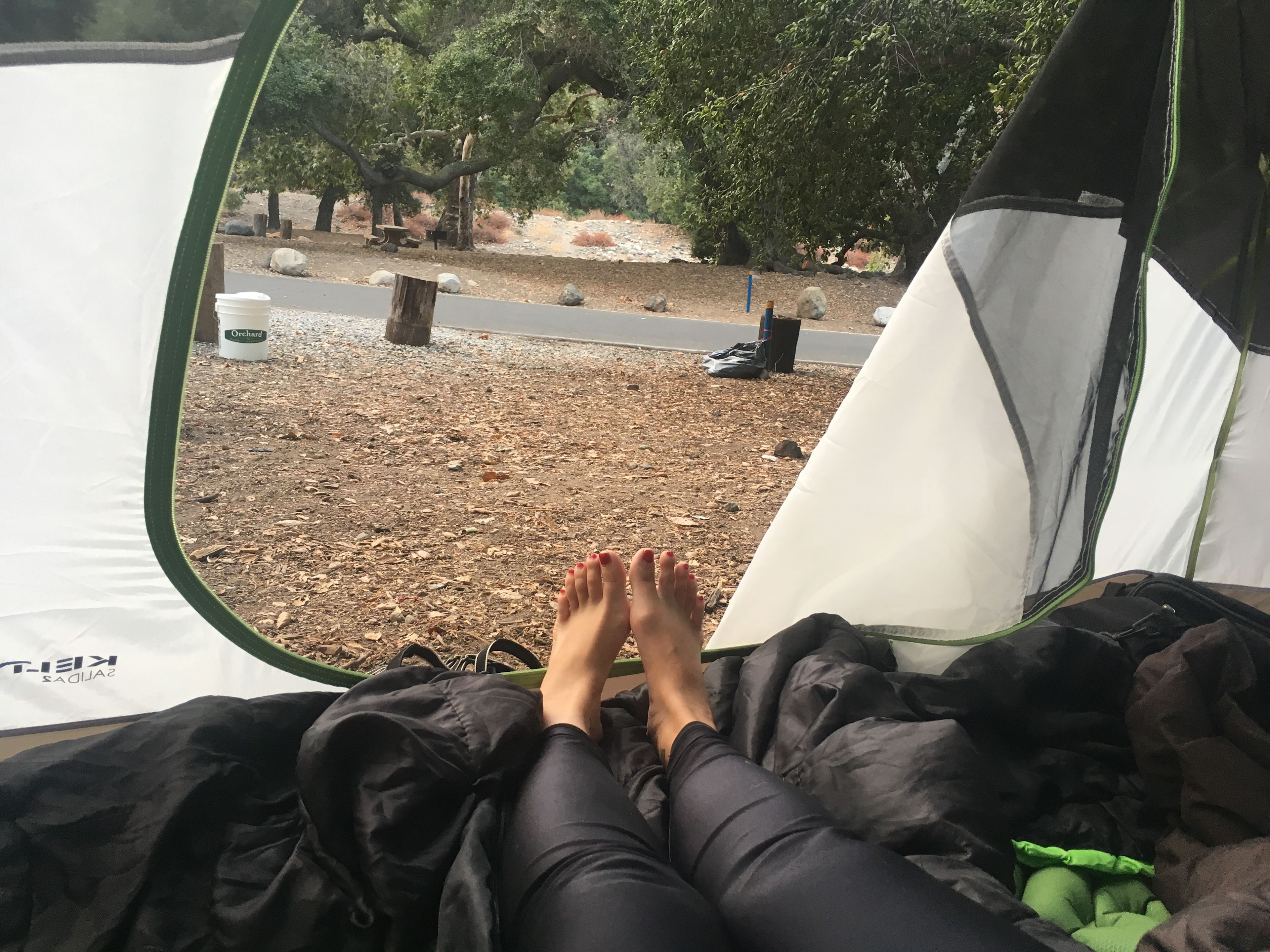 Morning view from the tent.