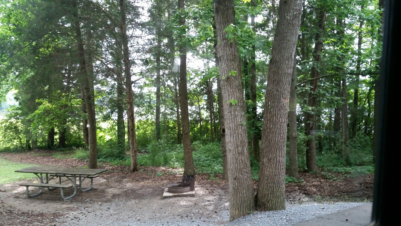 Cane Creek State Park