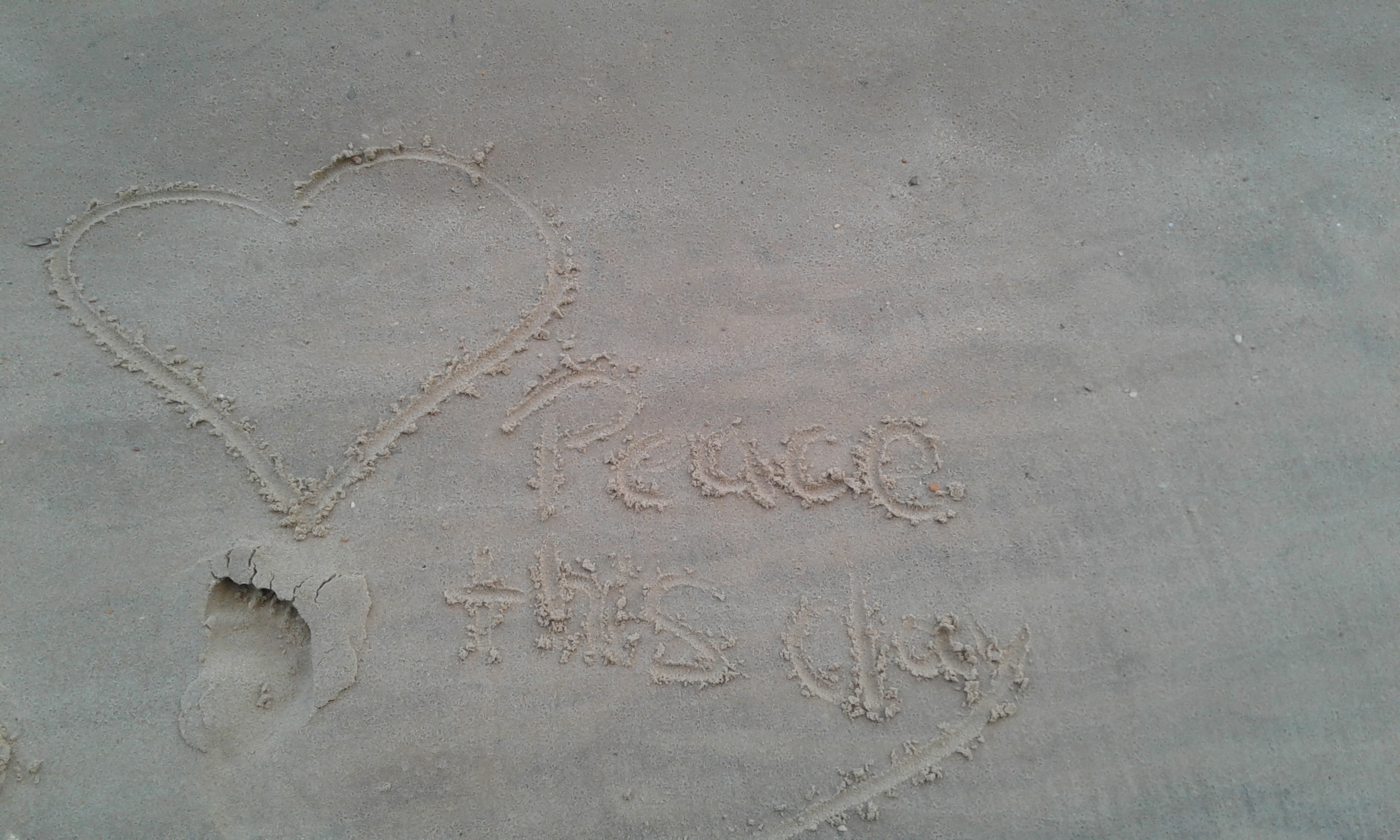 Peace this Day at Carolina Beach State Park