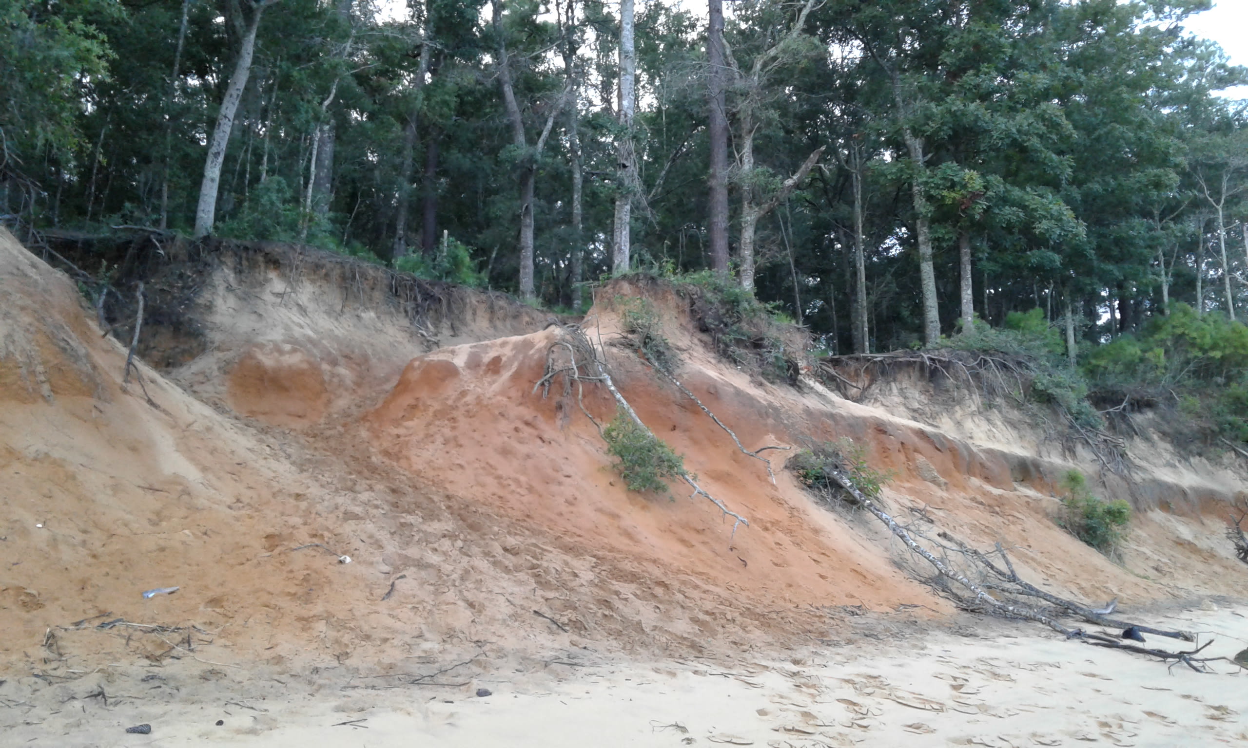 Sand banks leading up to the trail that took me back to my campsite #74 at Carolina Beach State Park