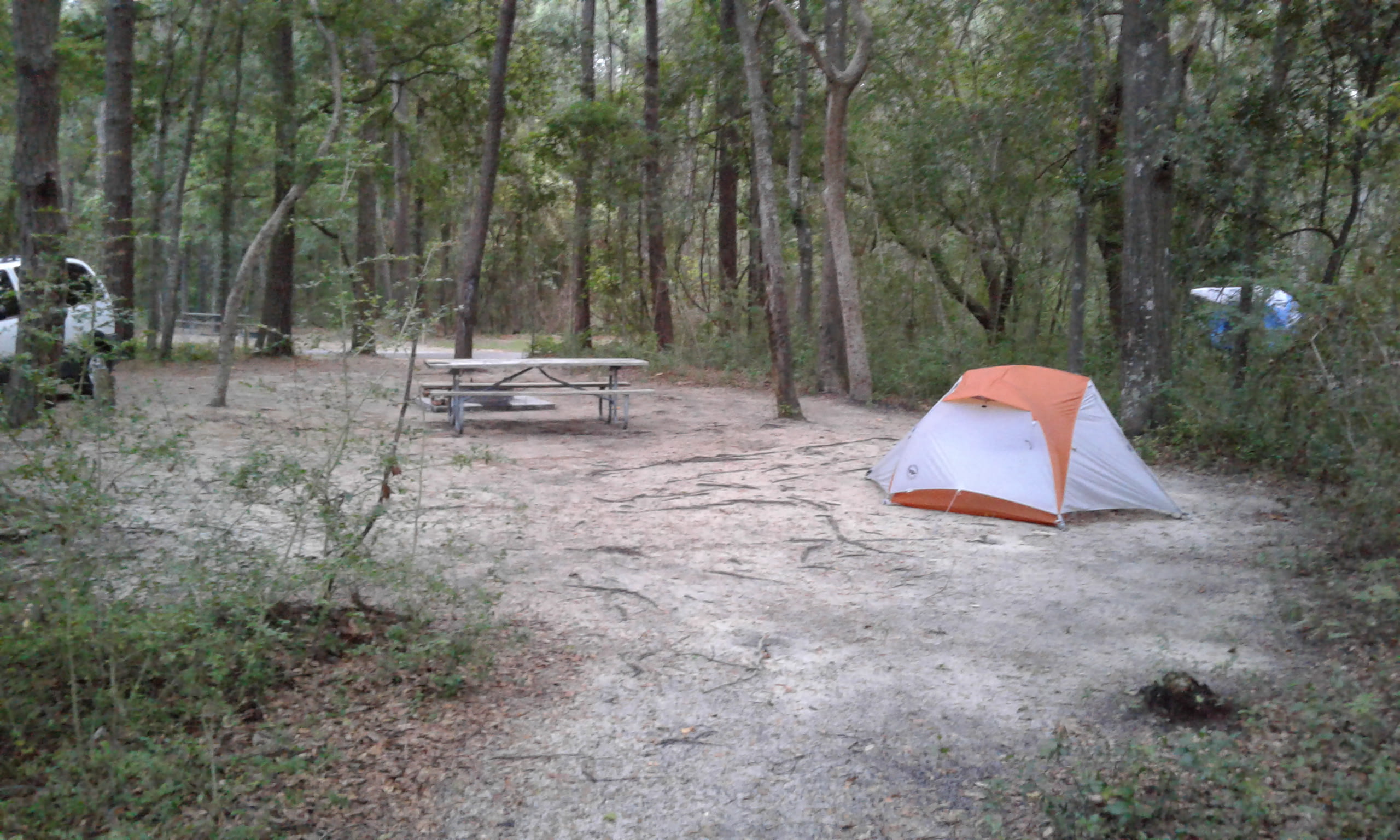 Carolina Beach State Park Trail head at campsite 74 - this is a short walk to the sand and water. It's like your own private beach area. It was quiet while I was there and I loved it! 