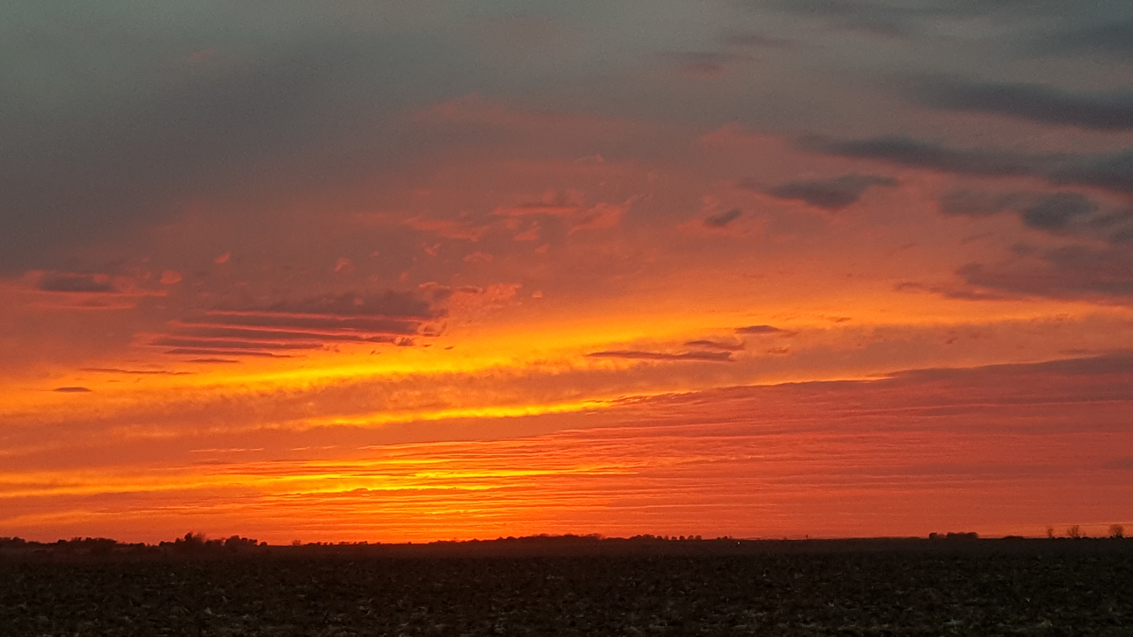 Camp in our west field for view of beautiful sunsets!