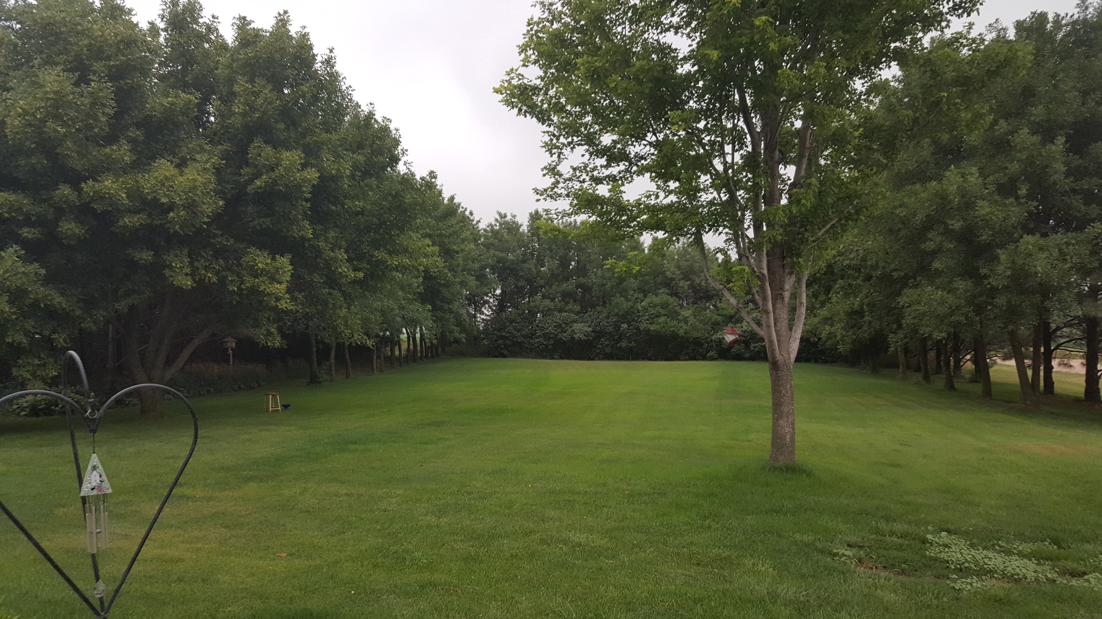 Front yard