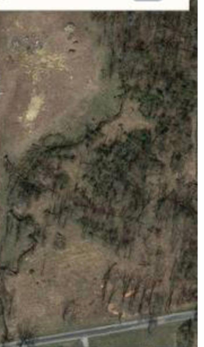 Campsite 