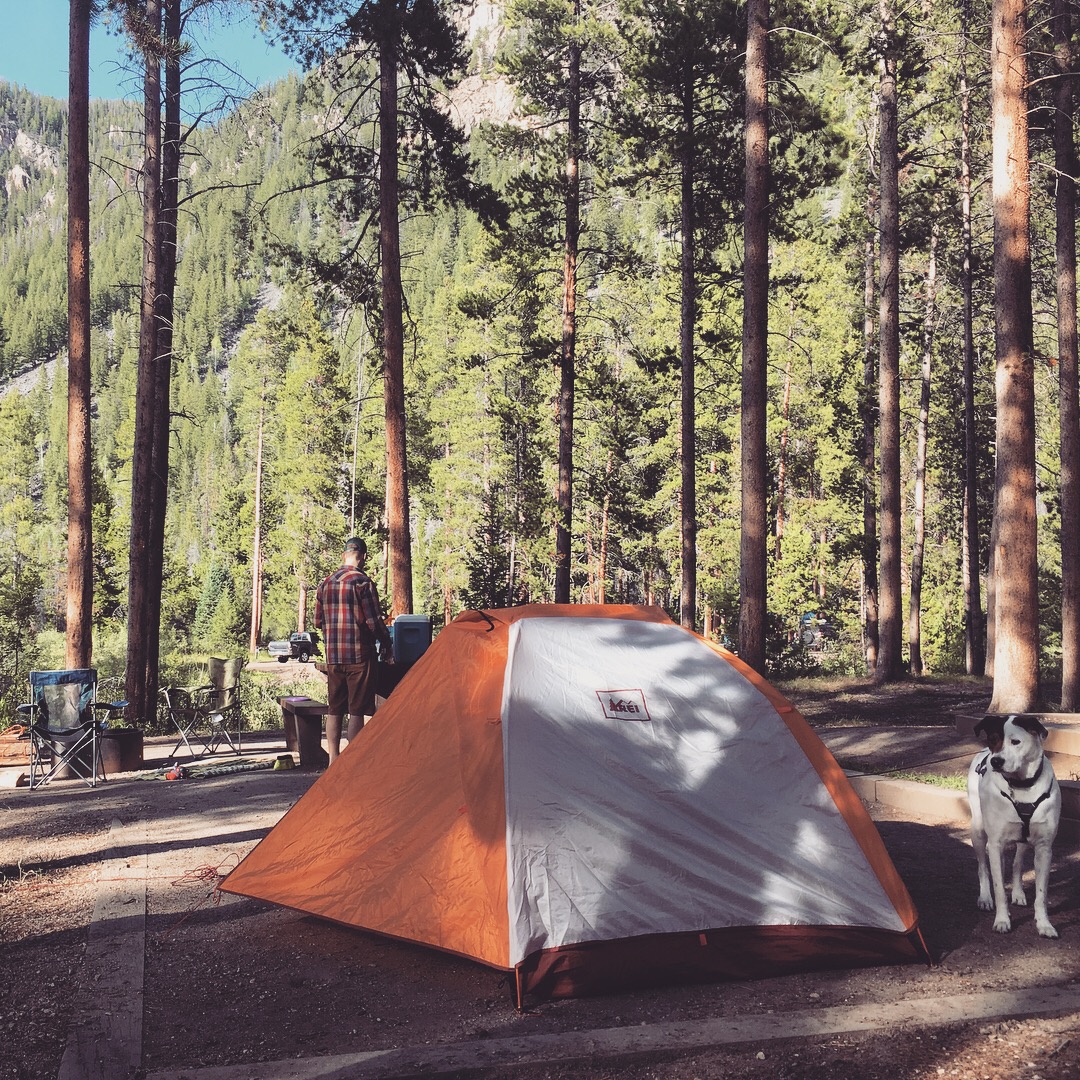 Great camp site setup with enough distance from your neighbors so that we could let our dog explore on a longer leash.