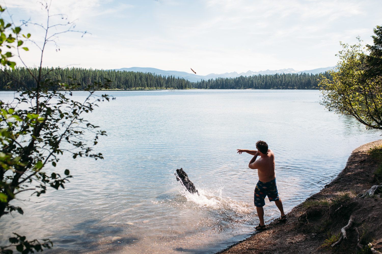 Perfect for sunbathing, swimming, or playing fetch!