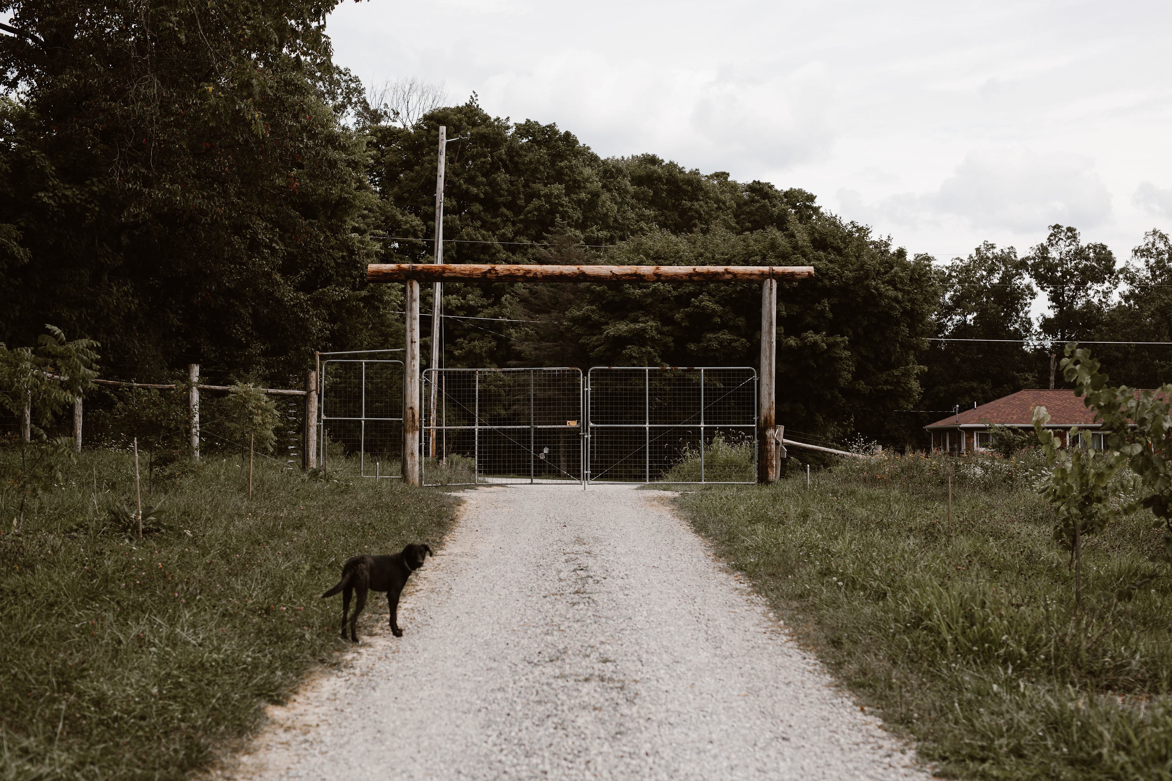 Welcome to the farm!