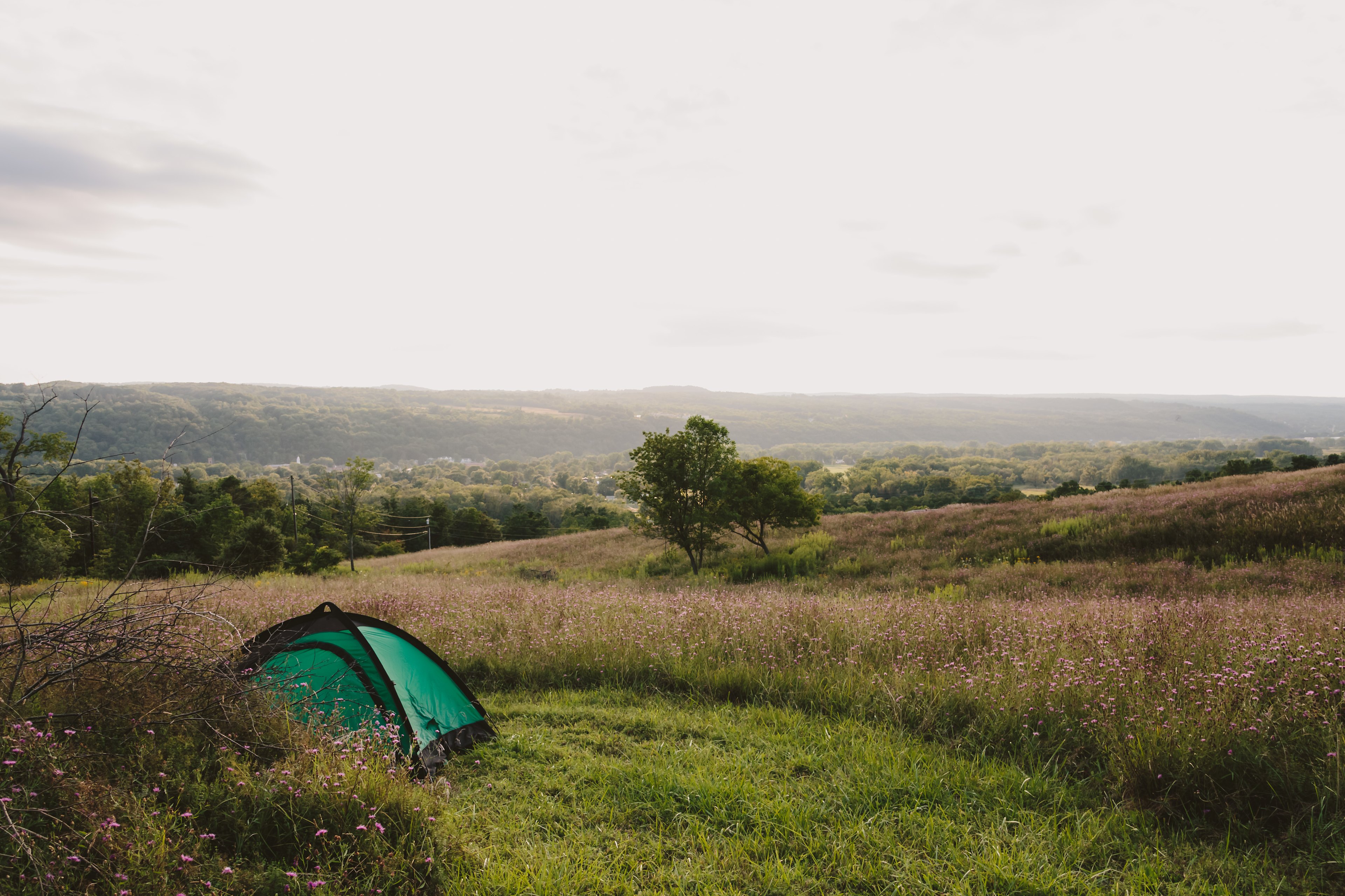 A classic Fingerlakes view into the valley without having to leave the site!