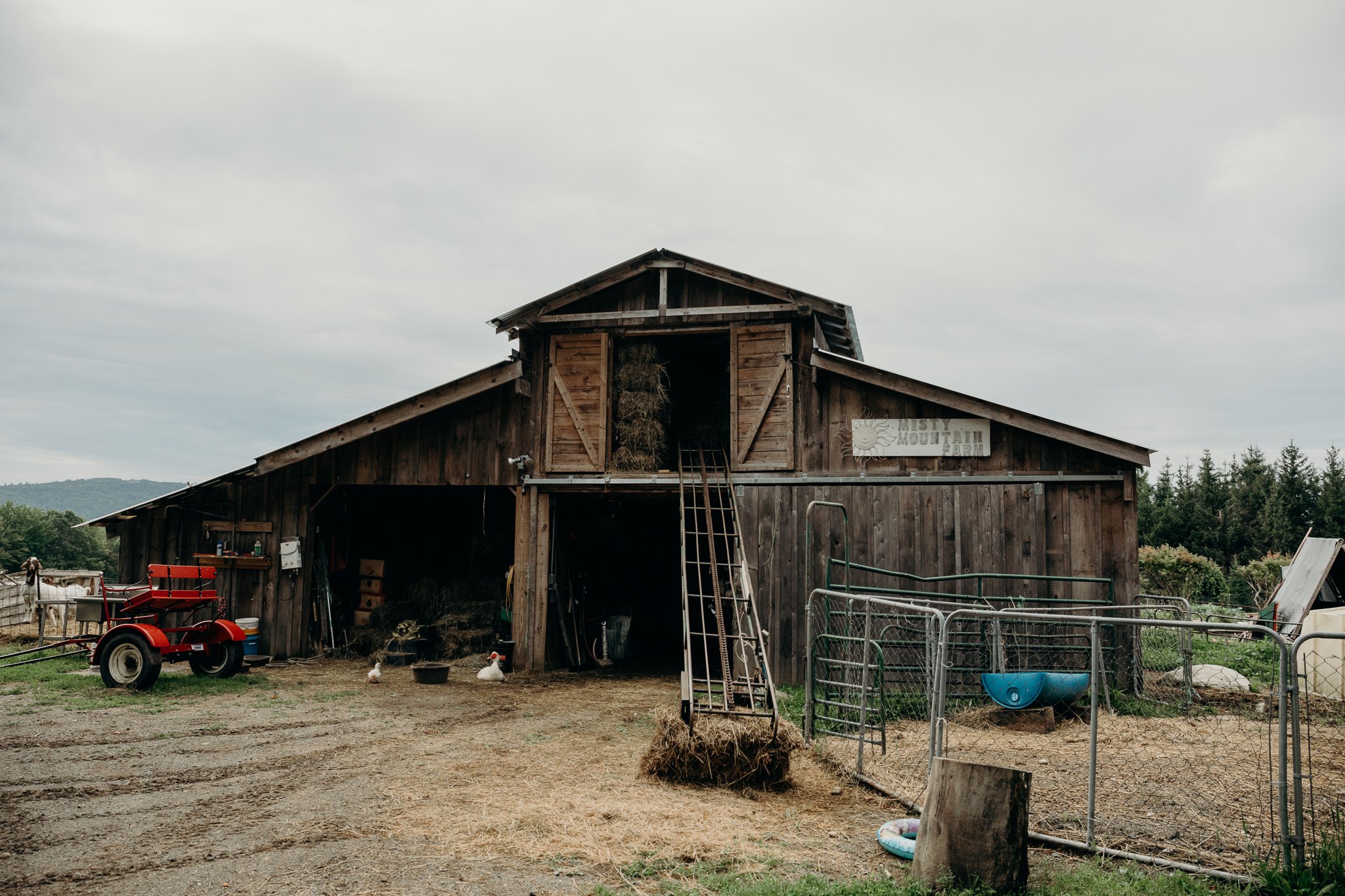 Misty Mountain Farm