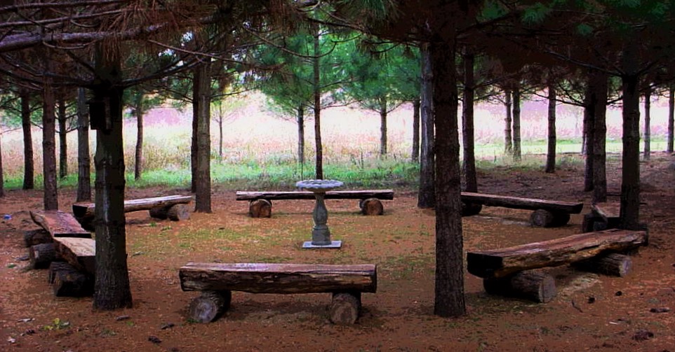 woodland seating circle
