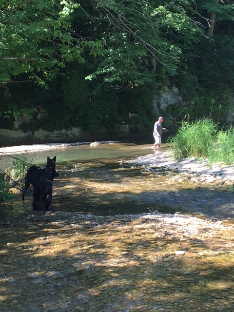Forestville/Mystery Cave State Park