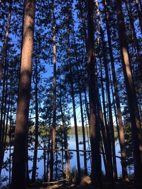 Bear Head Lake State Park