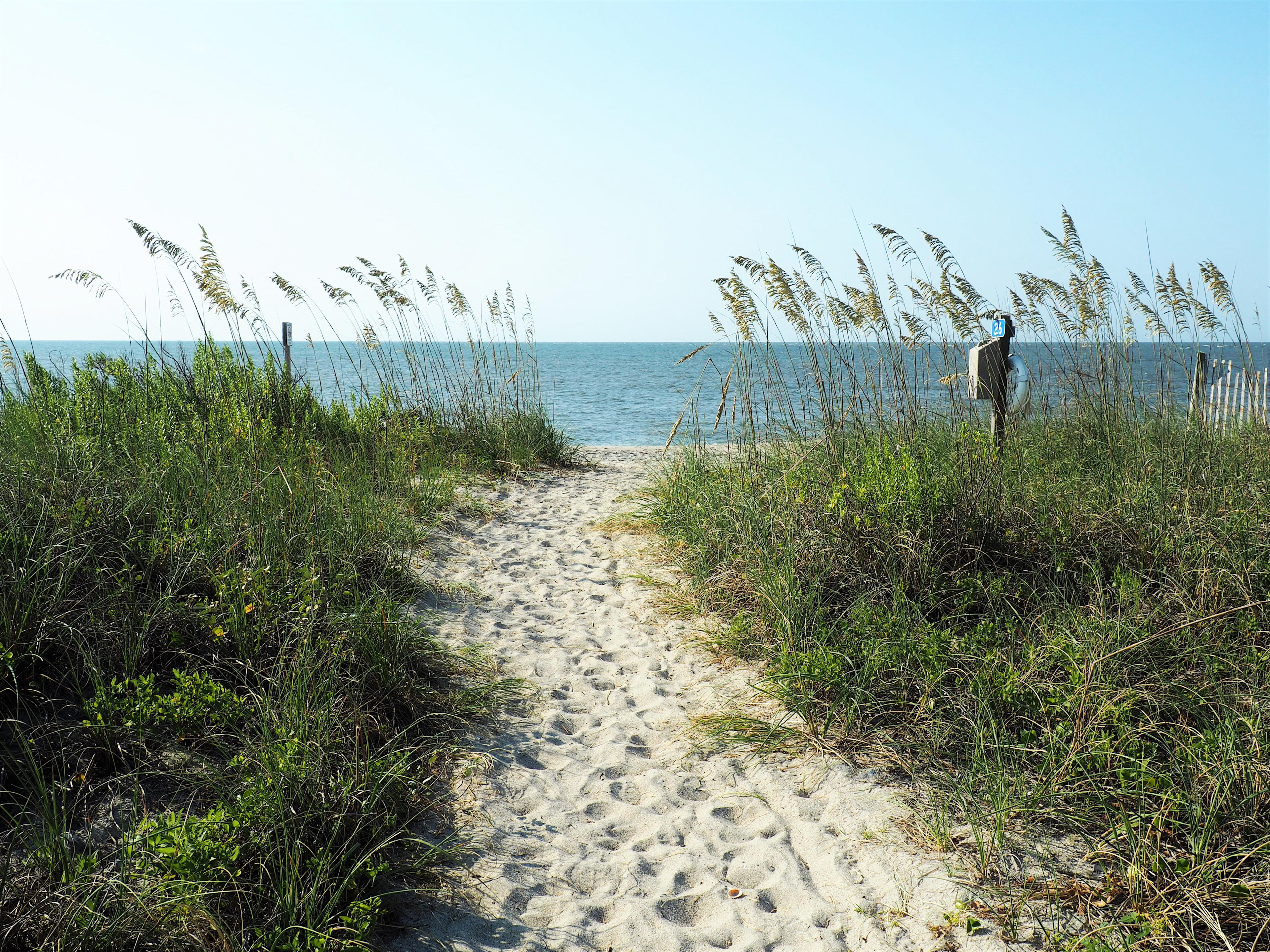 Edisto Beach State Park