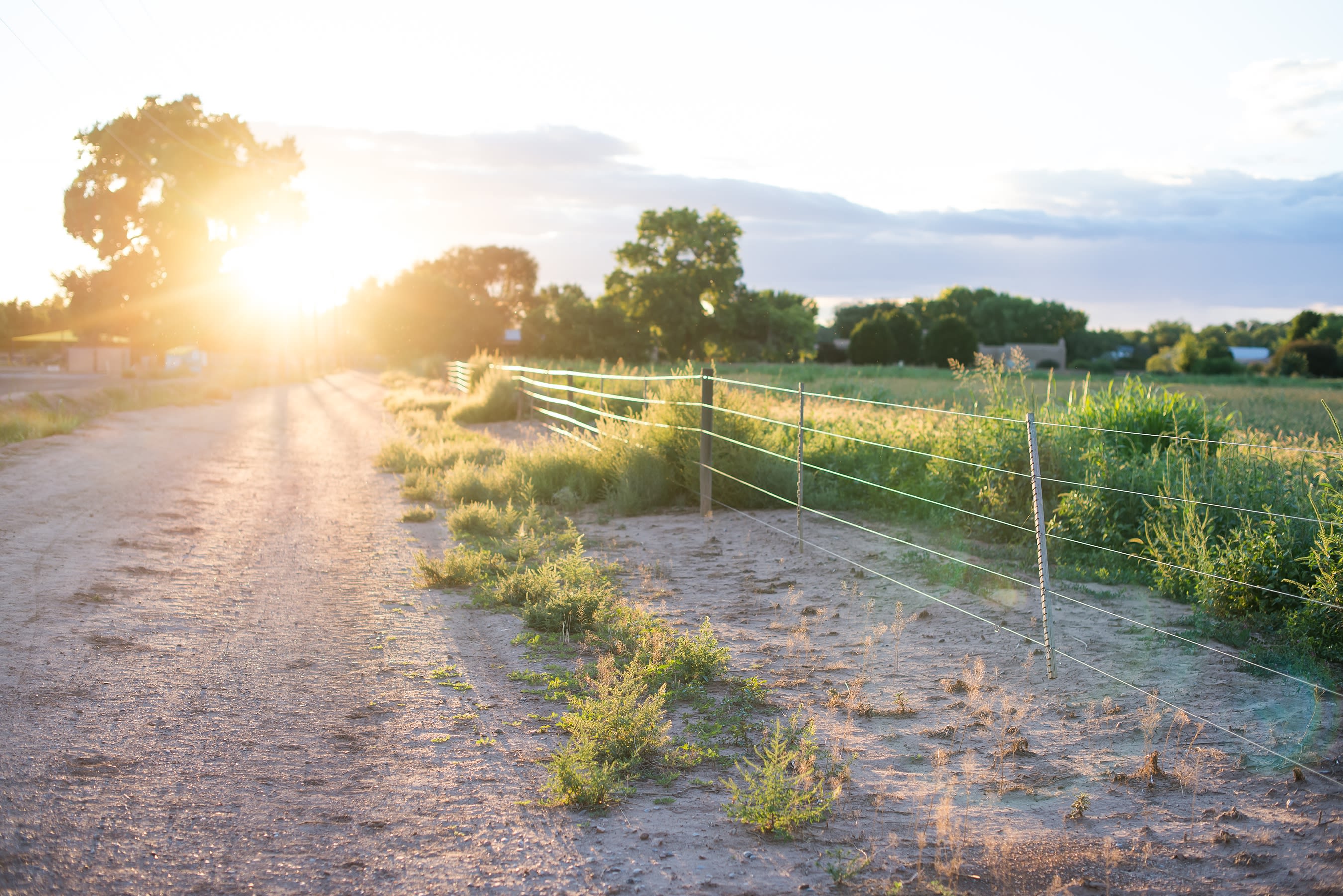 The nearby Los Poblanos Fields open space is the perfect spot to take an evening walk.