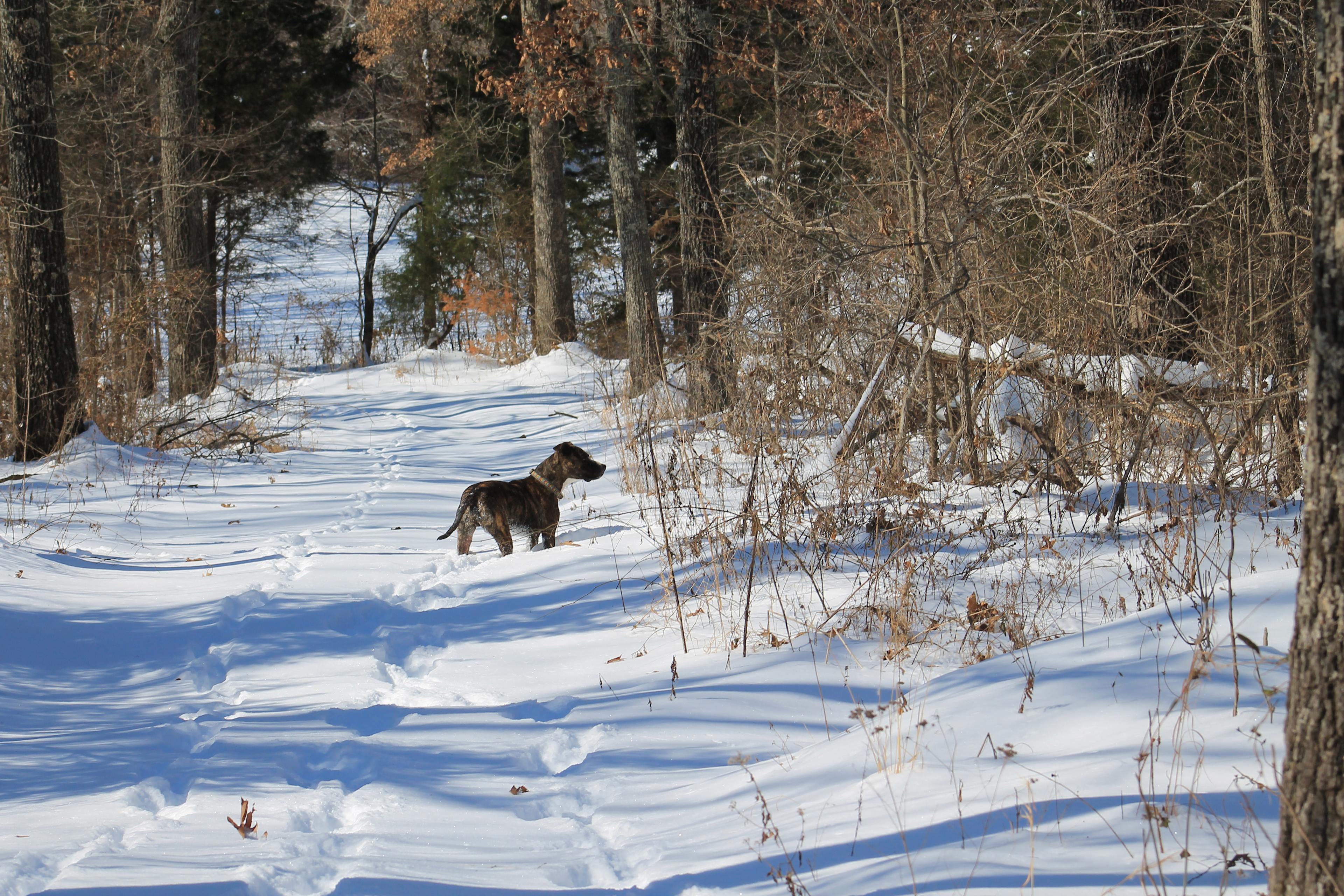 Enjoying the trails in the winter!