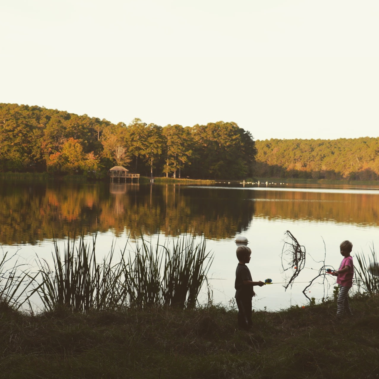 Kid-friendly fishing spot.