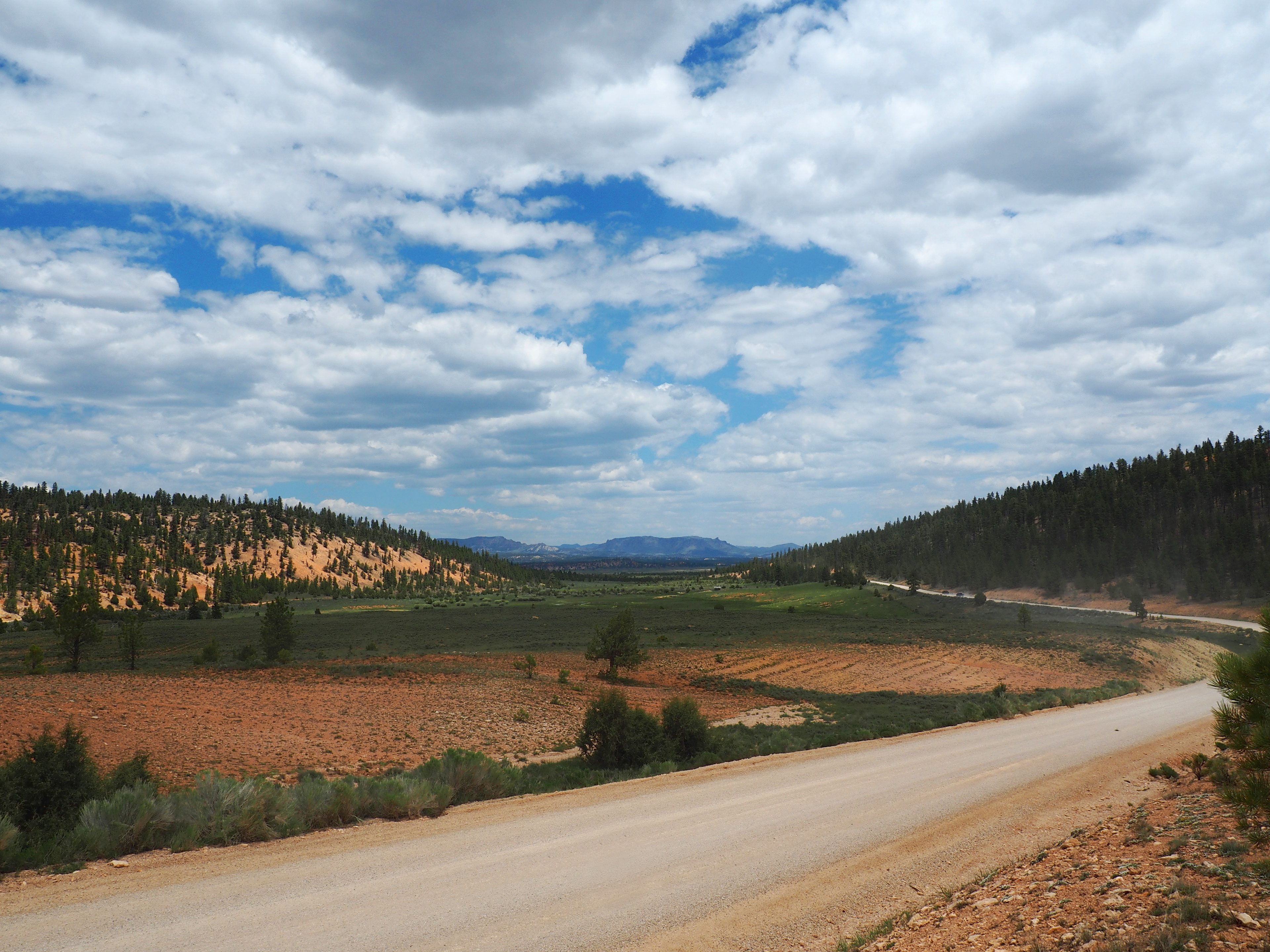The access road to King Creek Campground