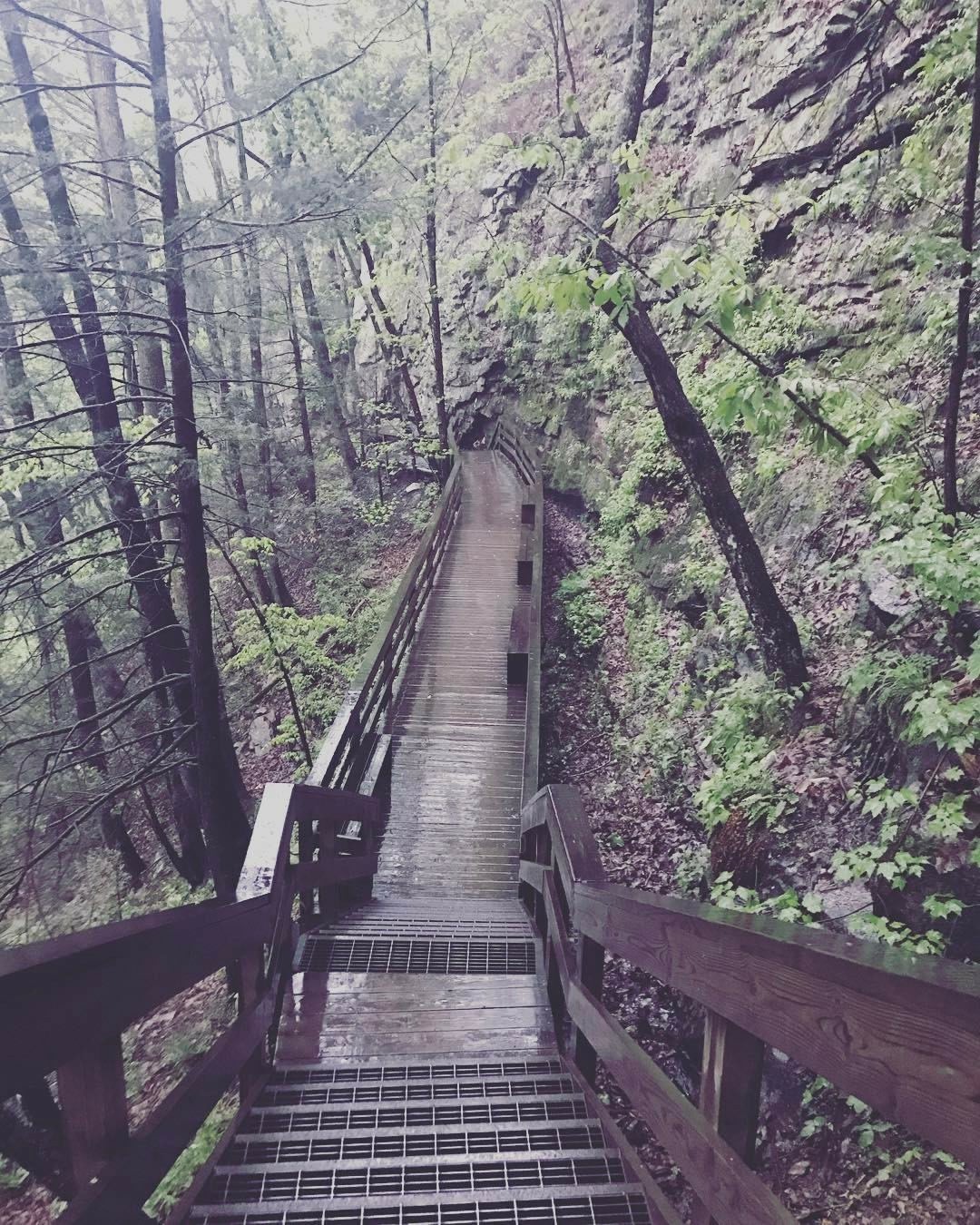 Cloudland Canyon State Park