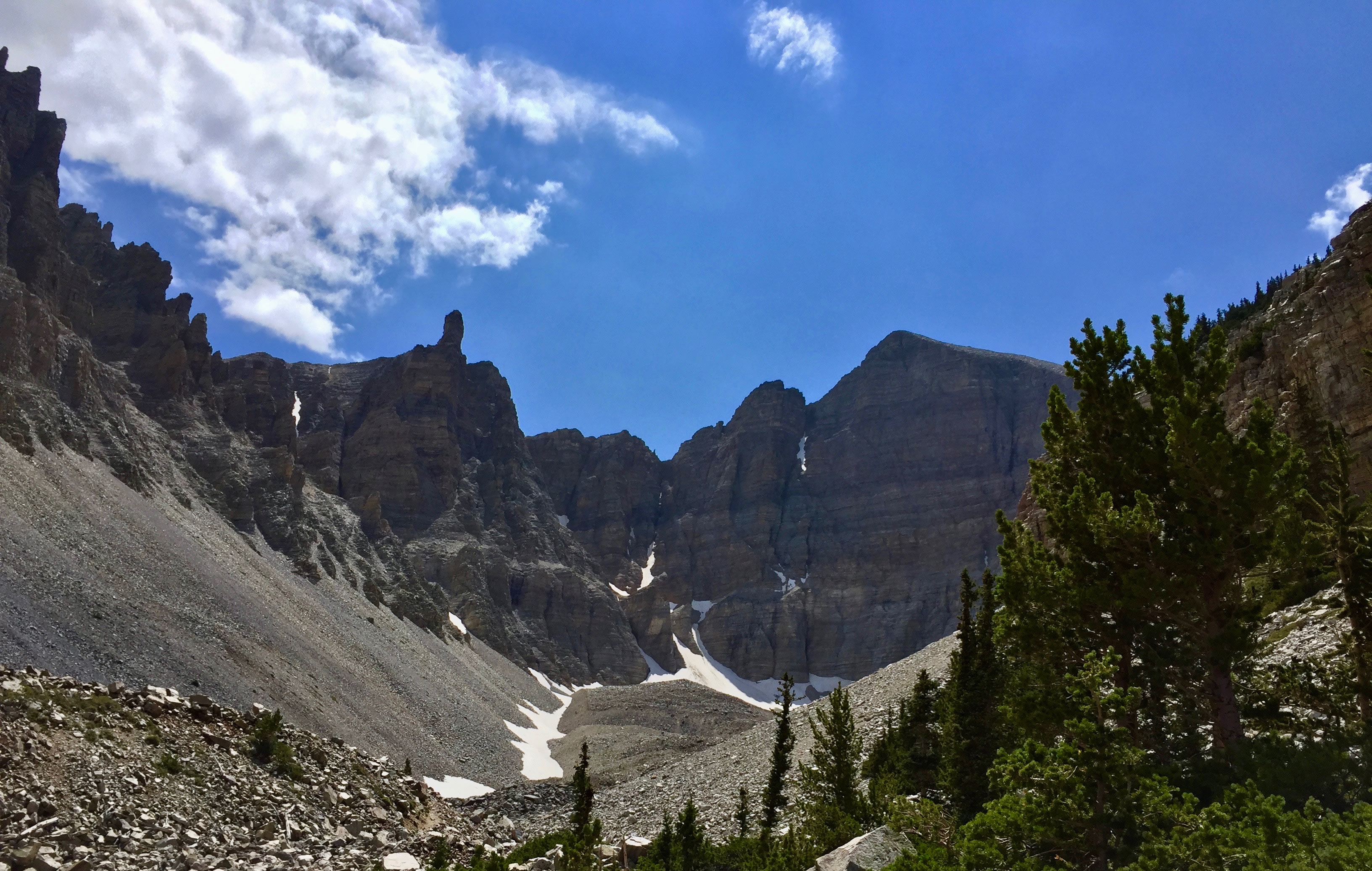 From the nearby Glacier/Bristlecone Trail.