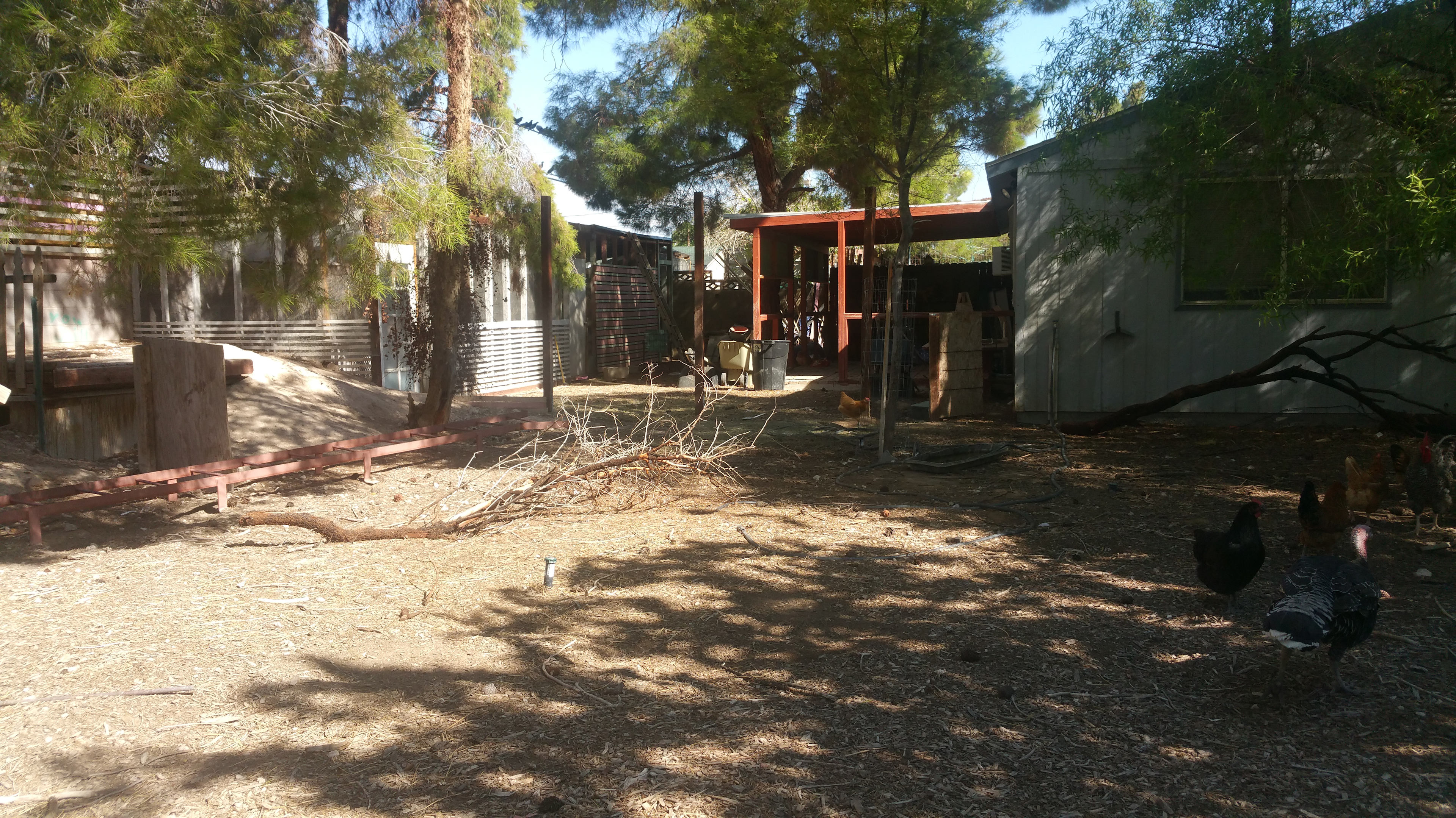 Granny Buds' Farm Animal Rescue