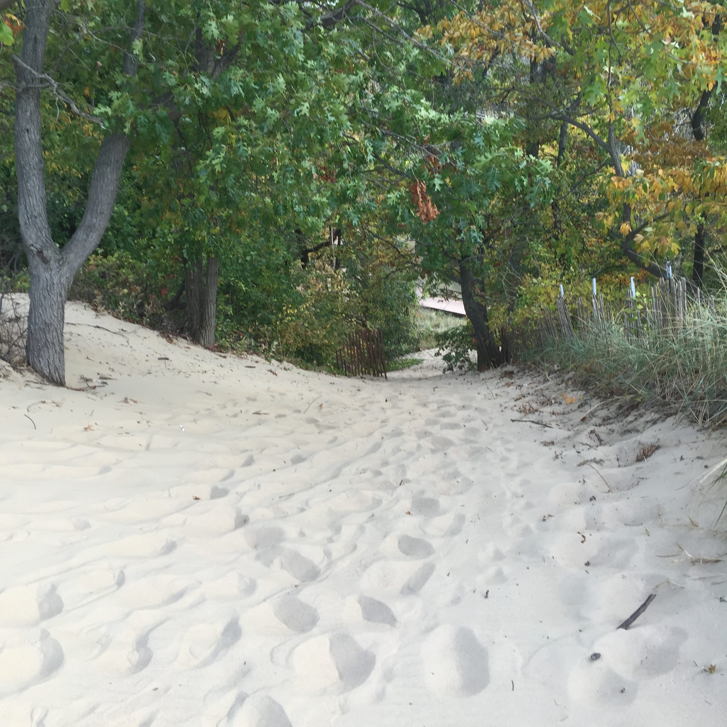 Indiana Dunes State Park