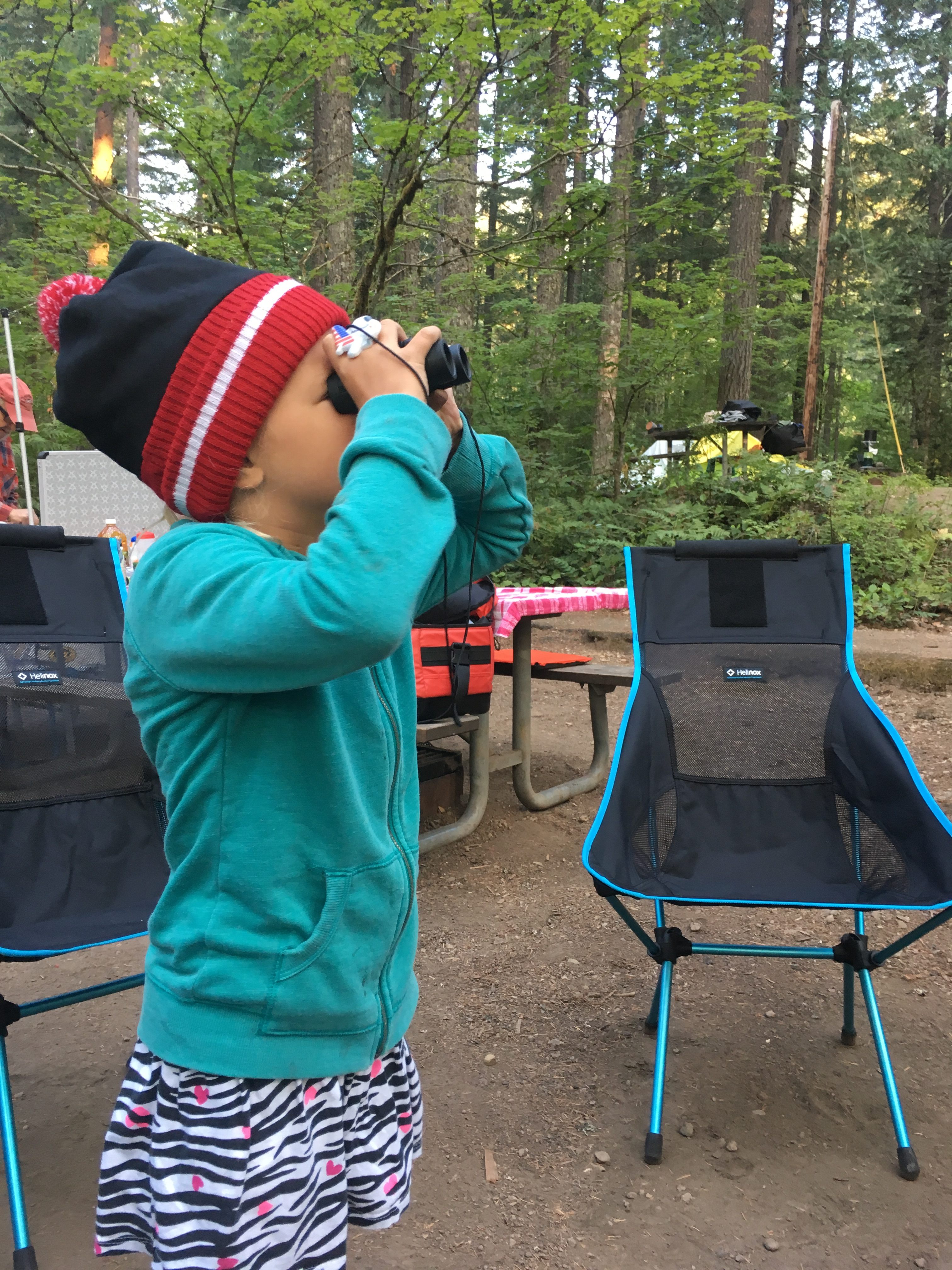 Bird sightings....bring your binoculars 