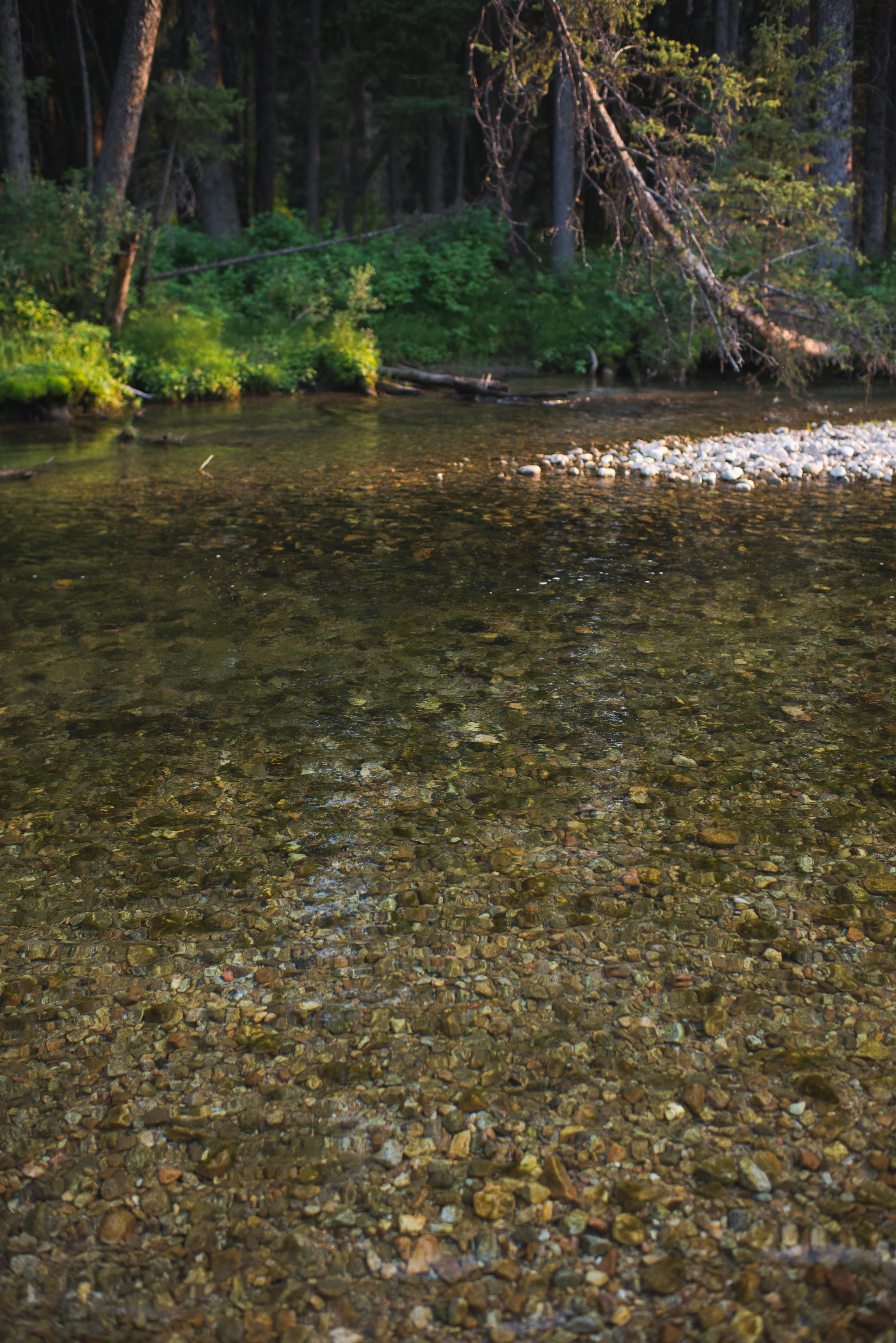 Stopped by this beautiful river just as the sun was getting low in the sky.