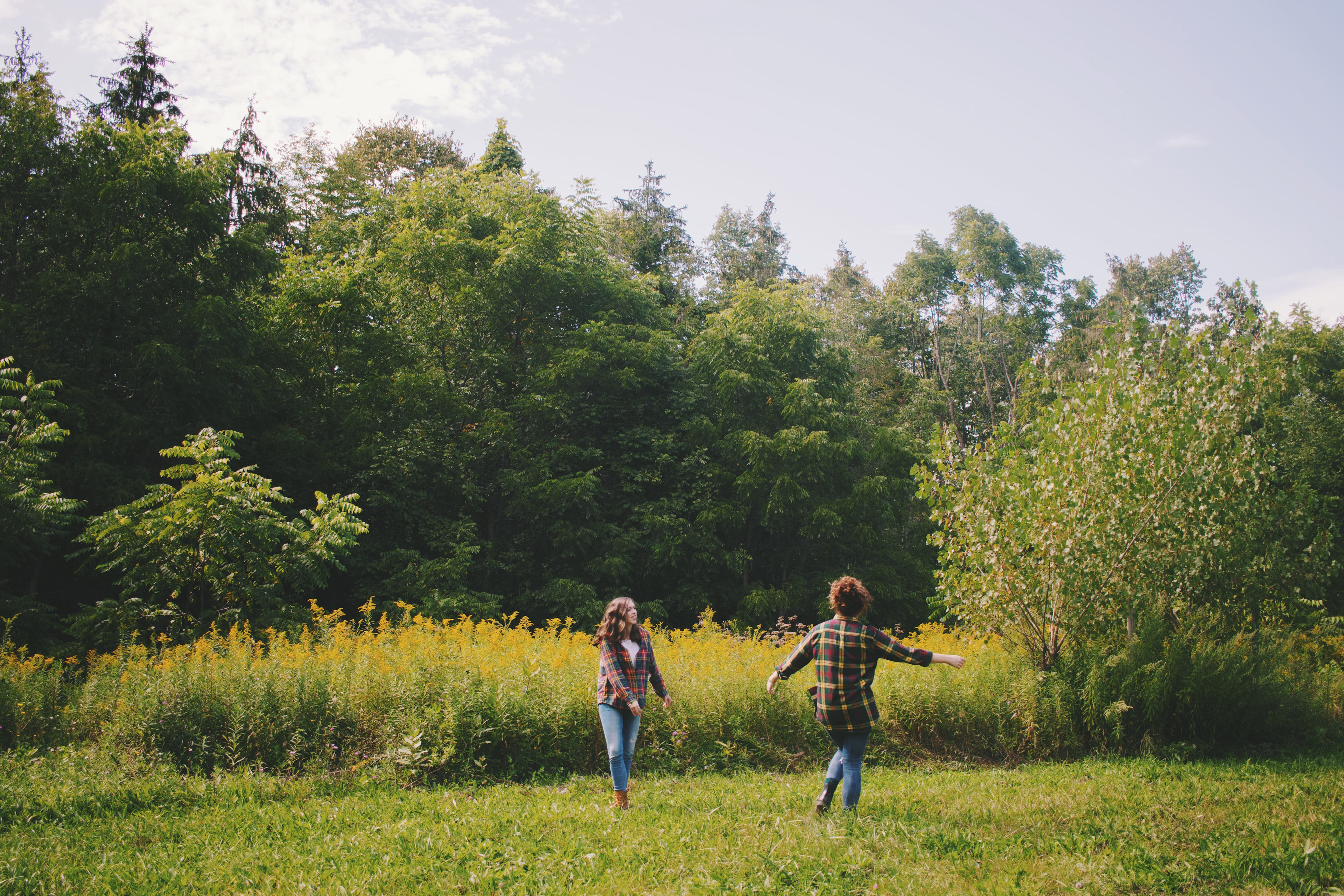 Exploring the paths off the main trail led to an open field filled with wildflowers 