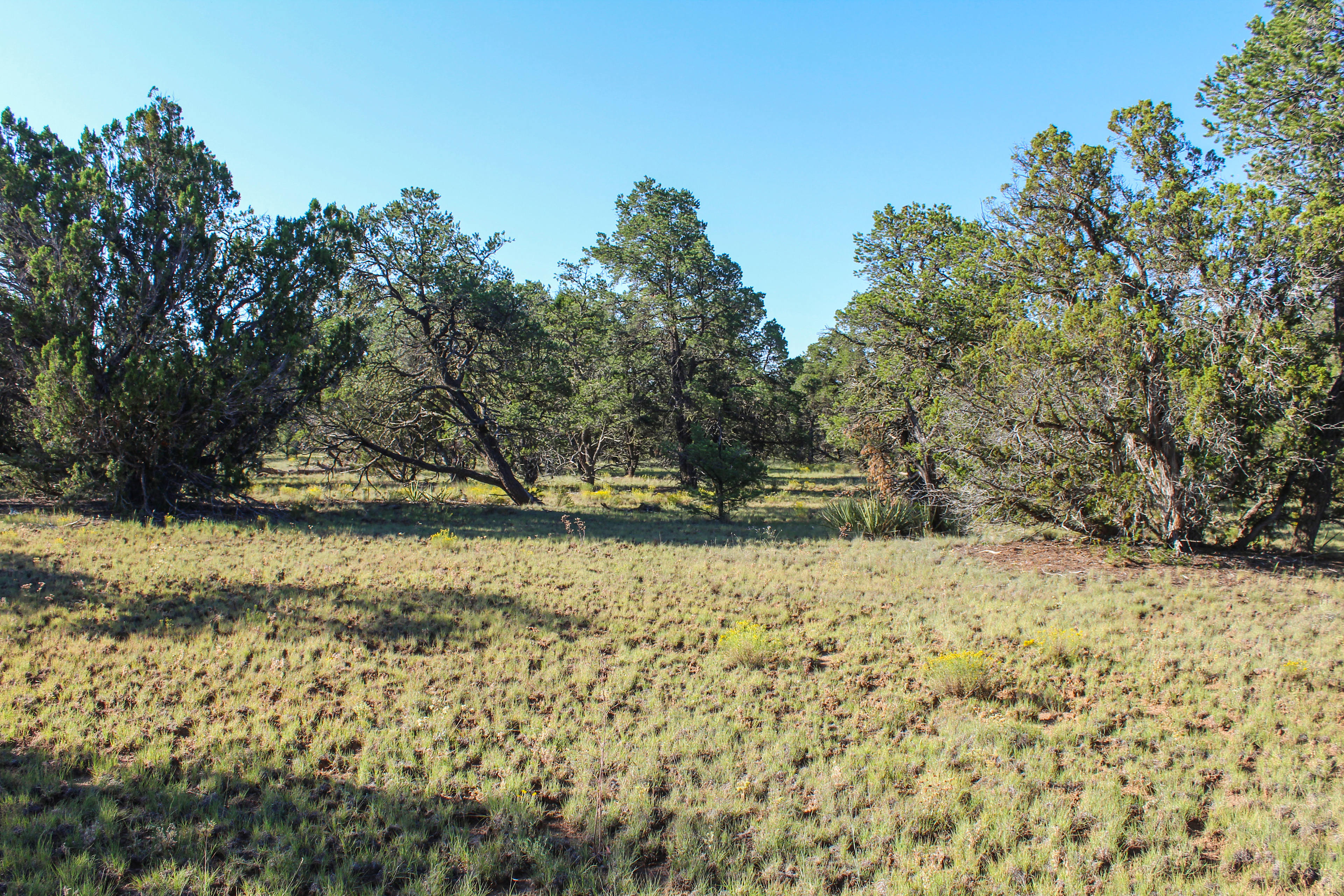 Mujeres Valley Campground