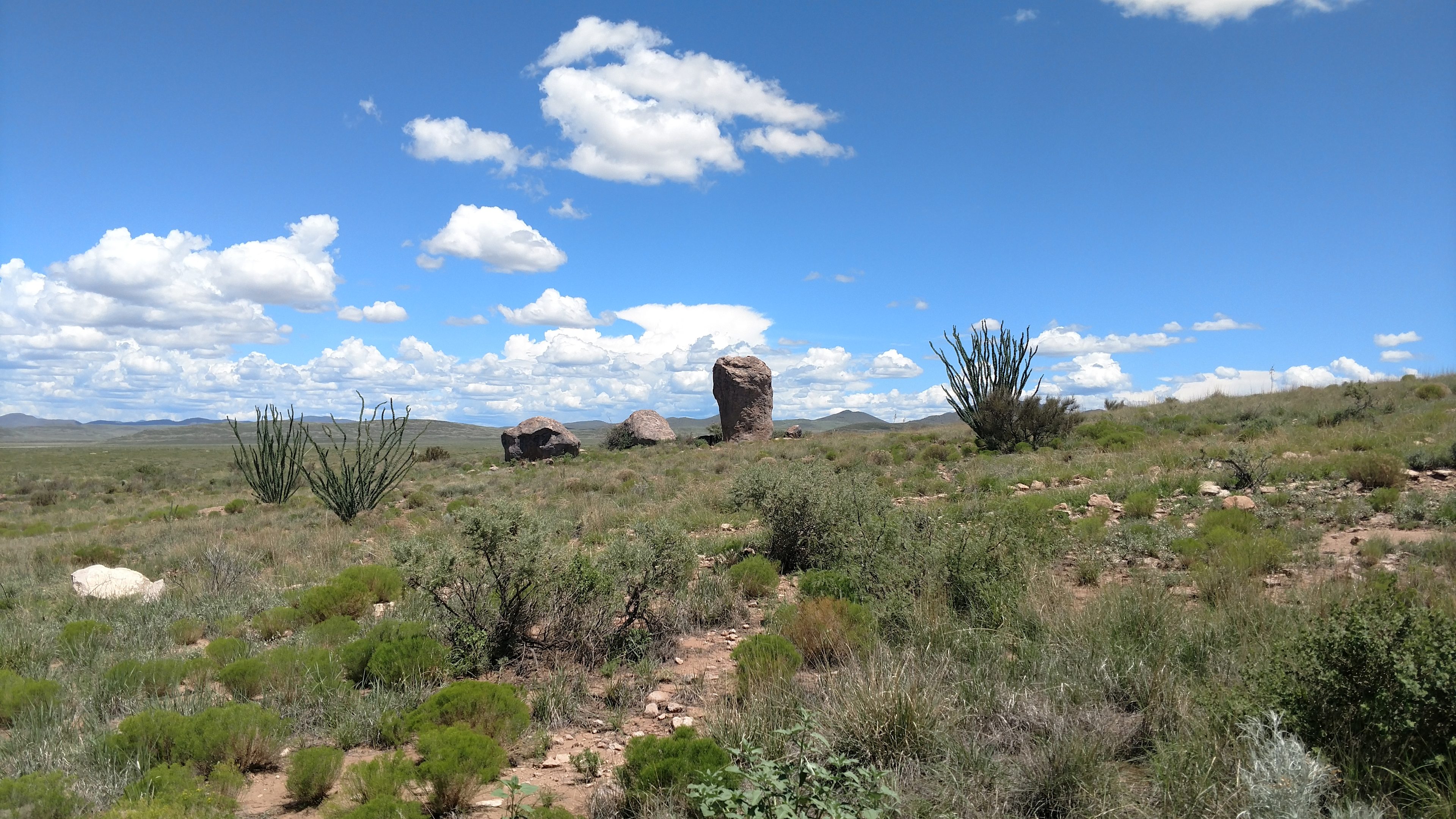 The scenery is incredible here!