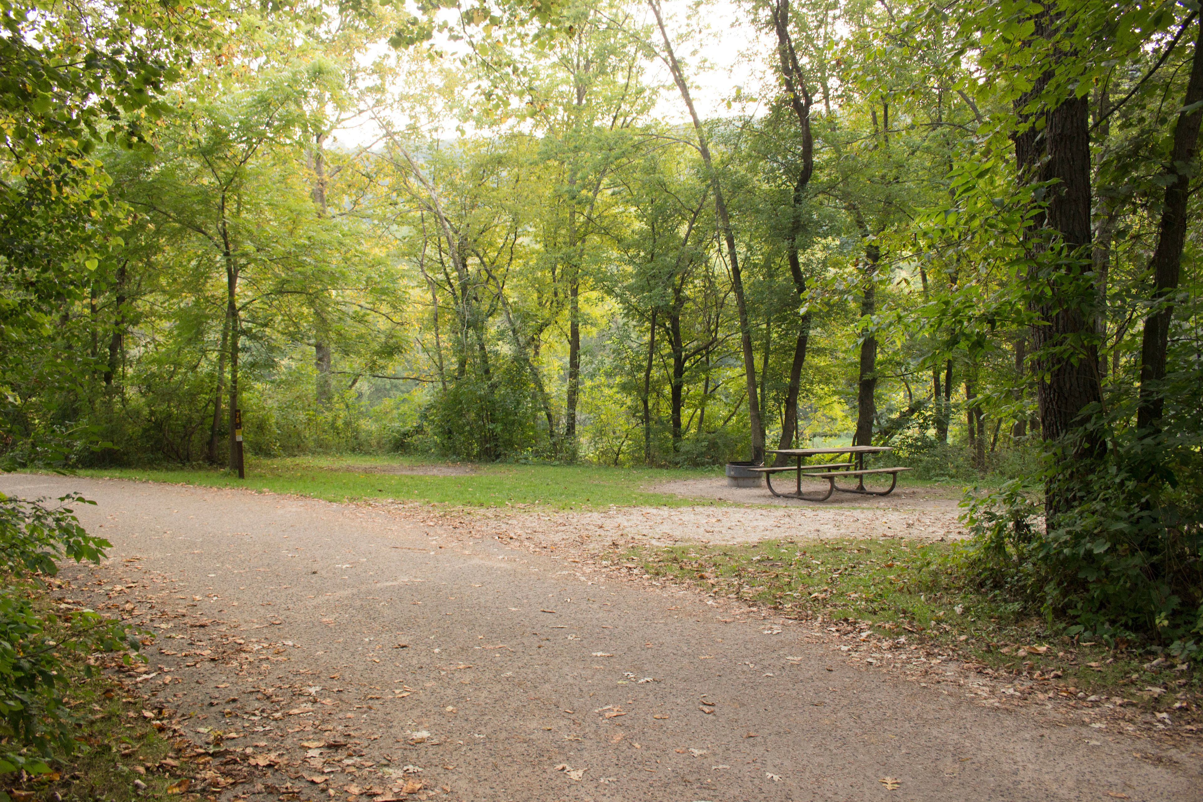Campsite vary in sizes and level of privacy. This site was really close to the river between both campsites. Cedar Hill (West side) was more private in the forest. Gooseberry Glen was more open allowing for field games and activities.