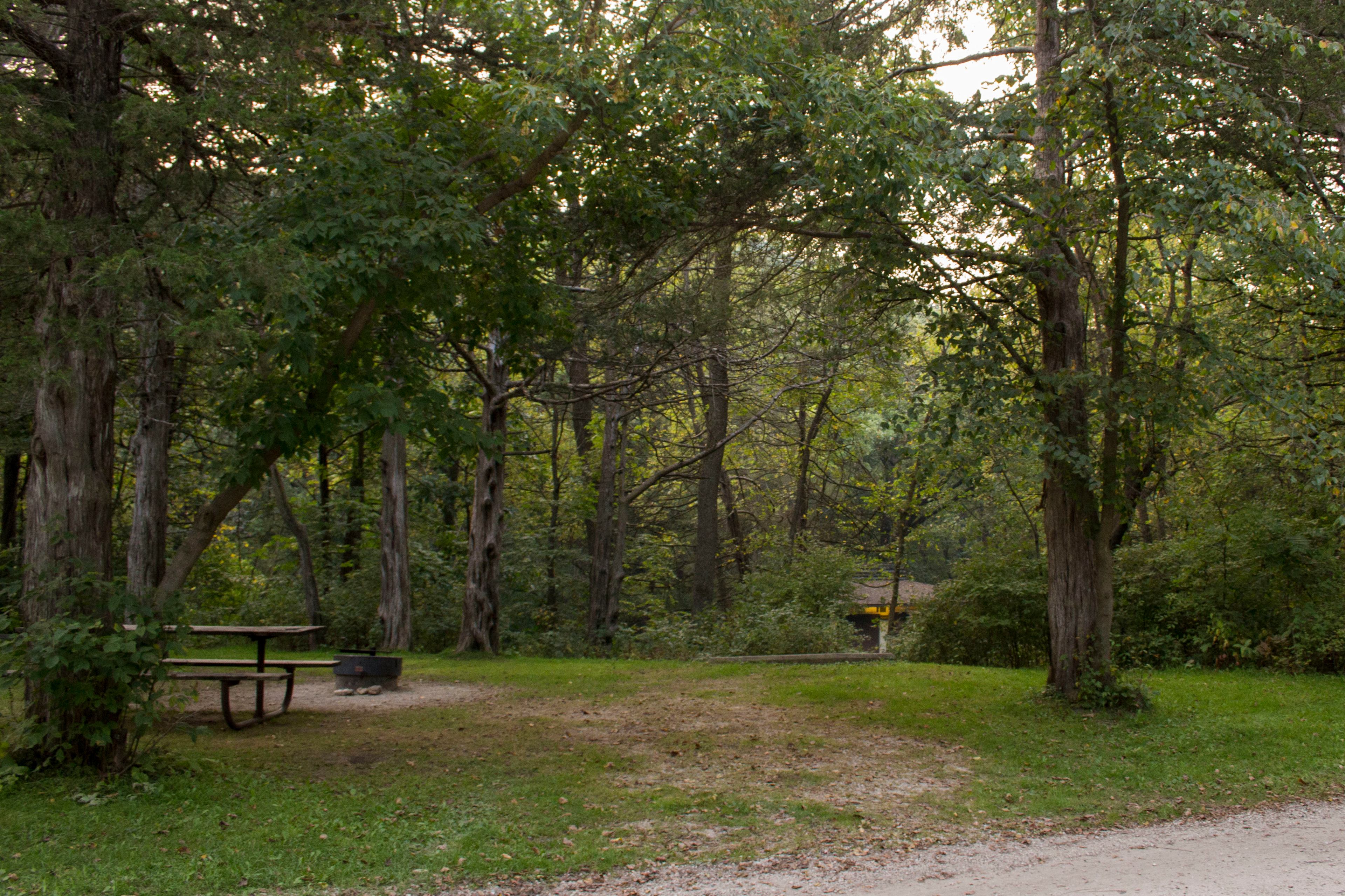 Campsite vary in sizes and level of privacy. Take a look at the campsite map for the different types. Cedar Hill (West side) was more private in the forest. Gooseberry Glen was more open allowing for field games and activities.