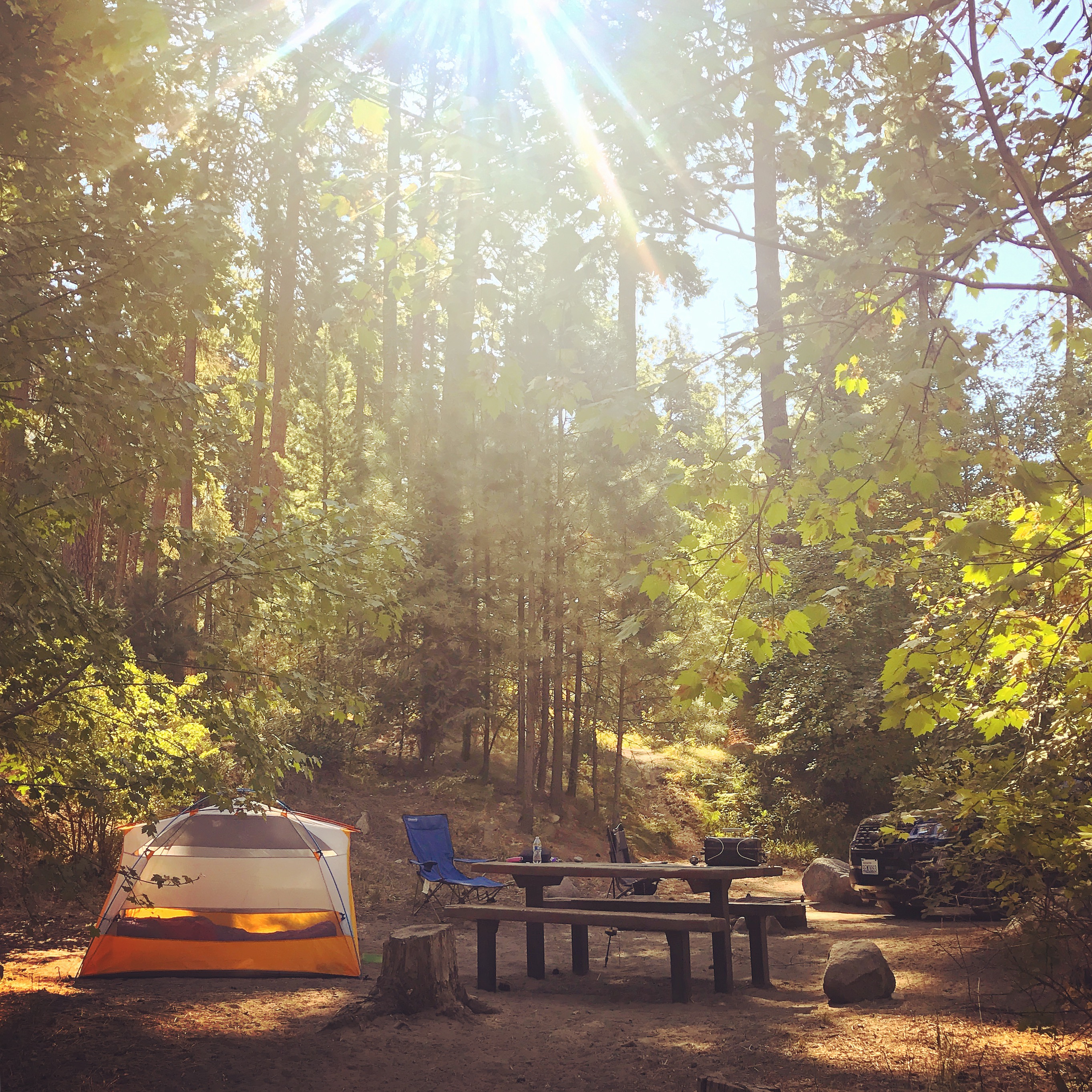 Okanogan-Wenatchee National Forest