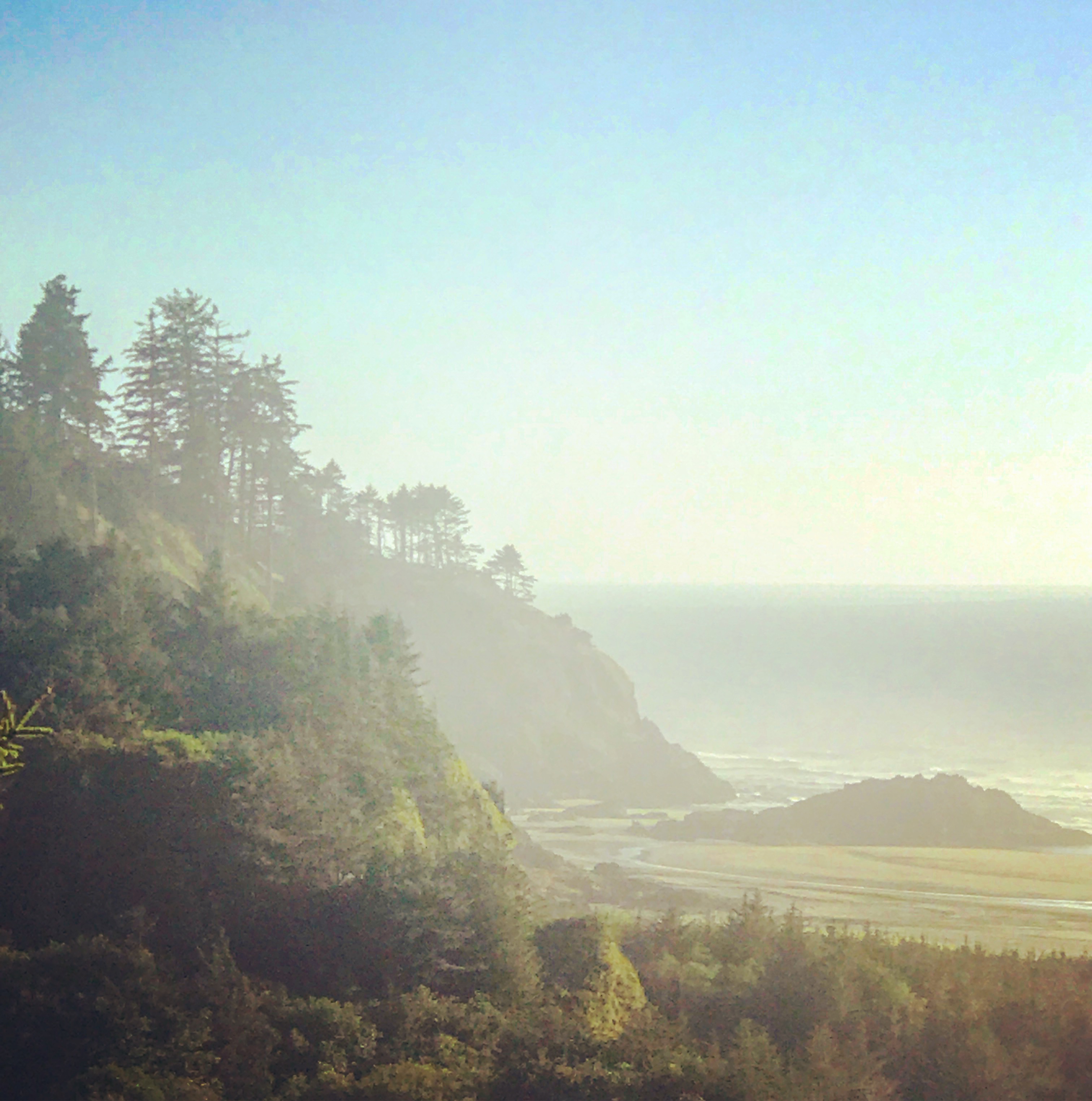 Cape Disappointment Campground